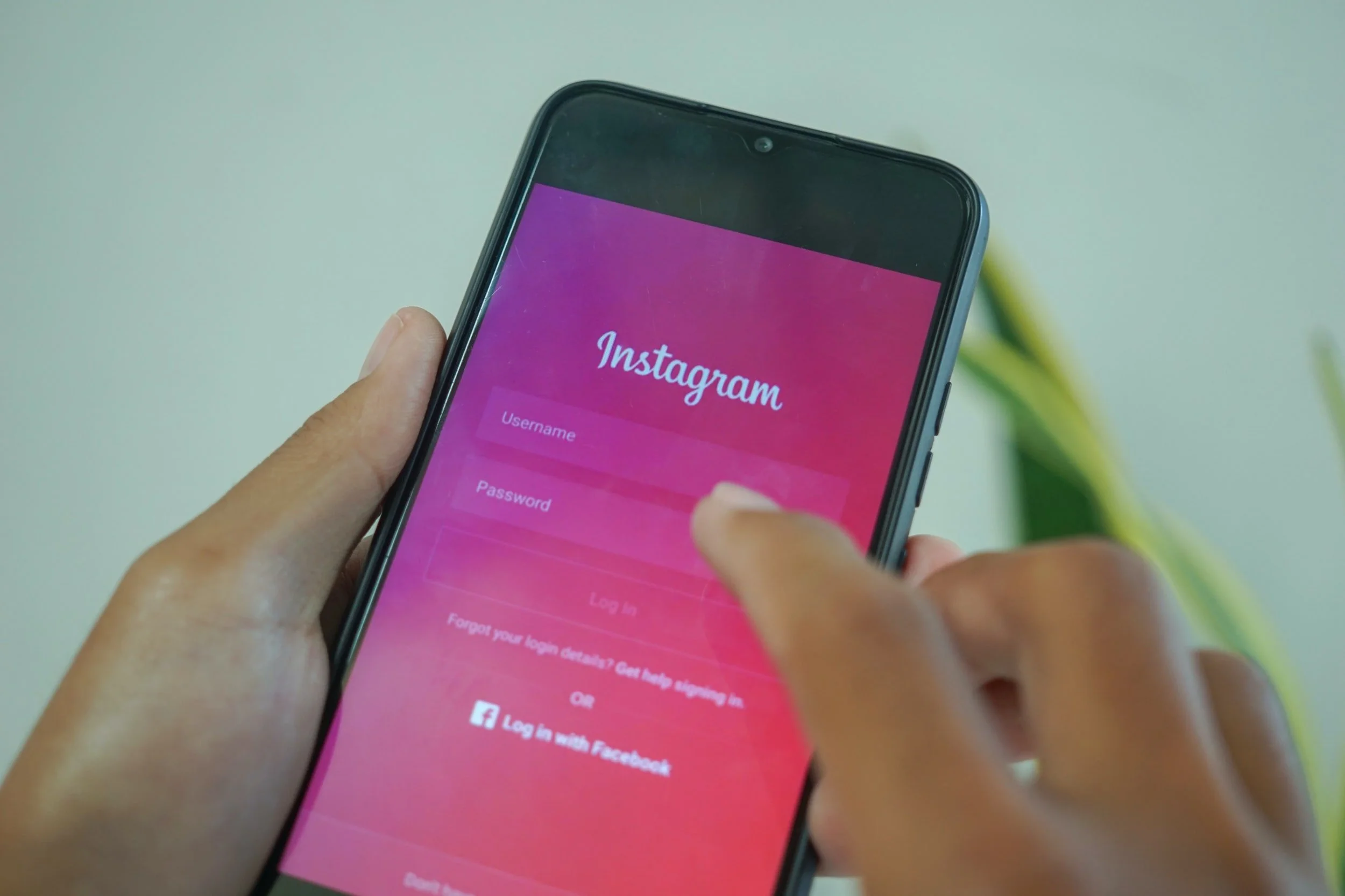 CultureCollecter made a bold foray into SA's digital media industry