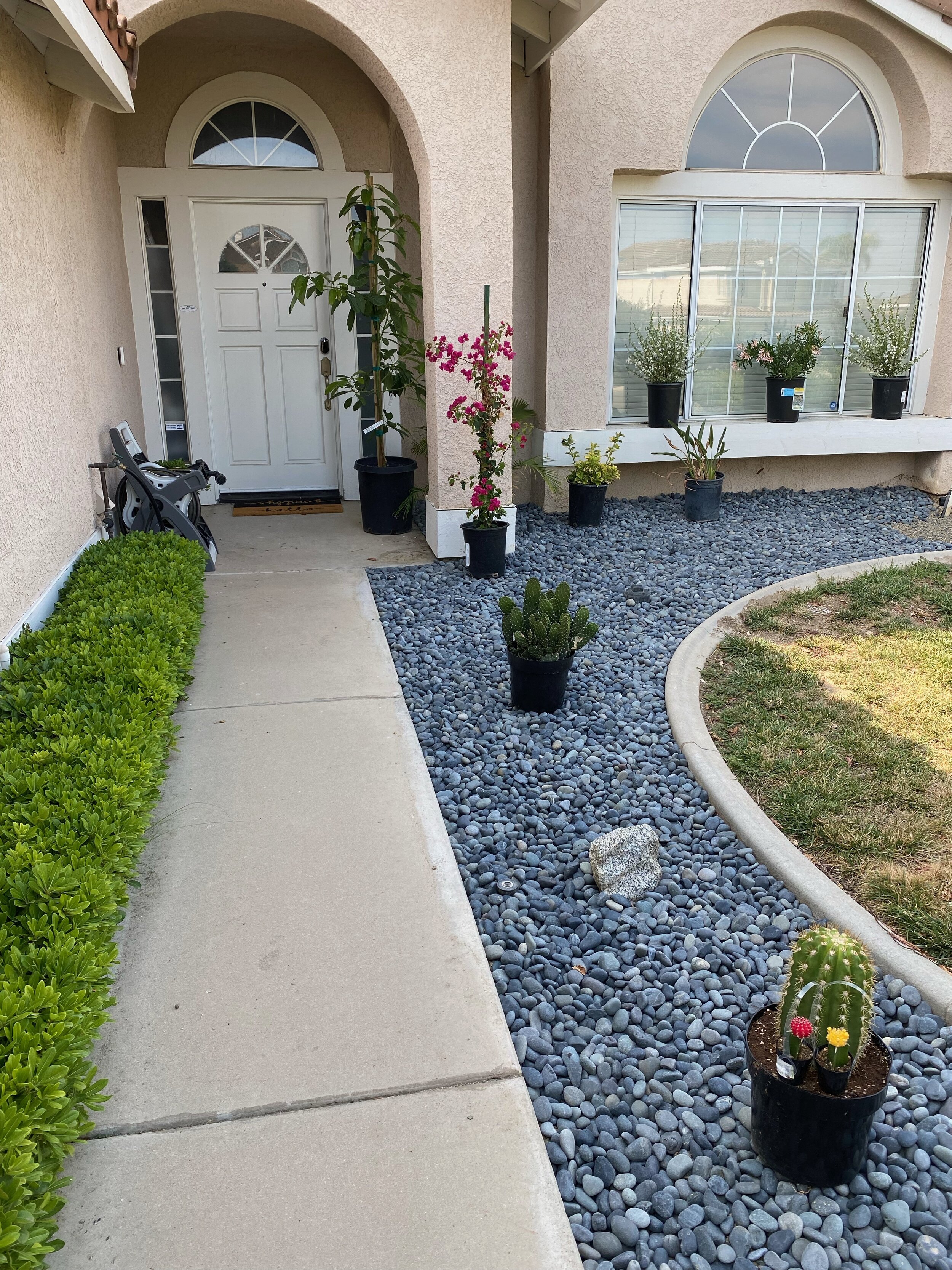 Sgu Term 4 Ders Making Sense Of What Doesn T Warmly Rainee