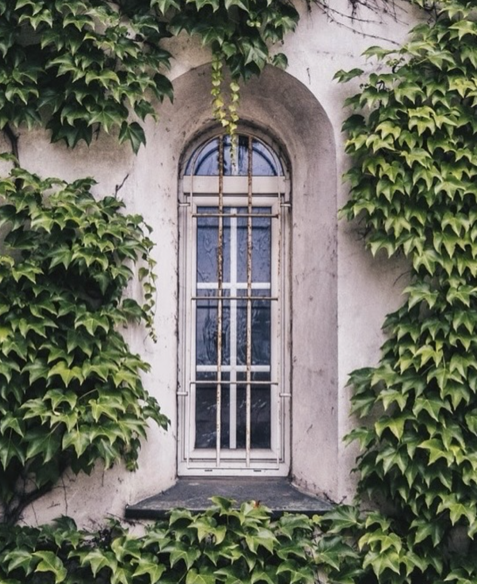 Spotted Lanternfly Host Plants