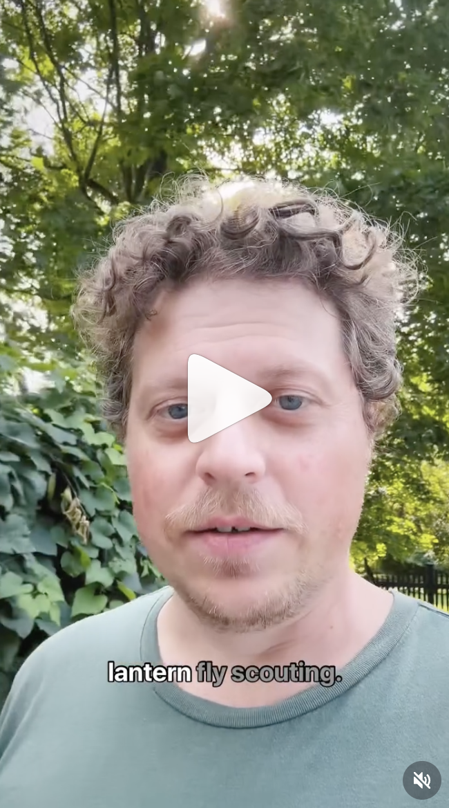 VIDEO - SLF Scouting in Disturbed Soil Areas