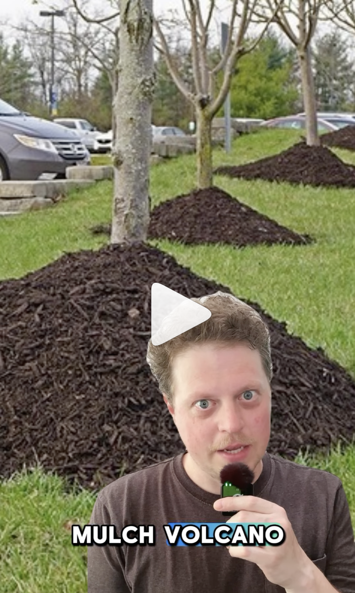 Mulch Volcanoes VIDEO