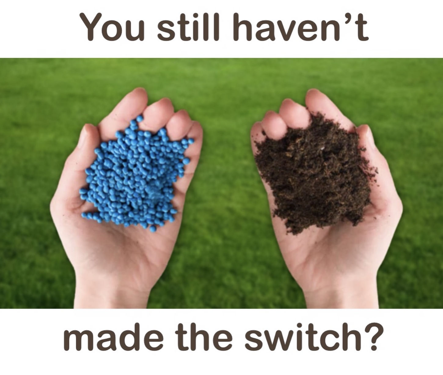 two handfuls of fertilizer, one chemical, one organic compost