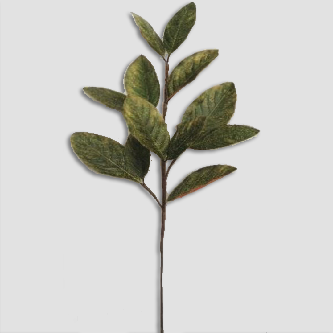 32" Magnolia Spray