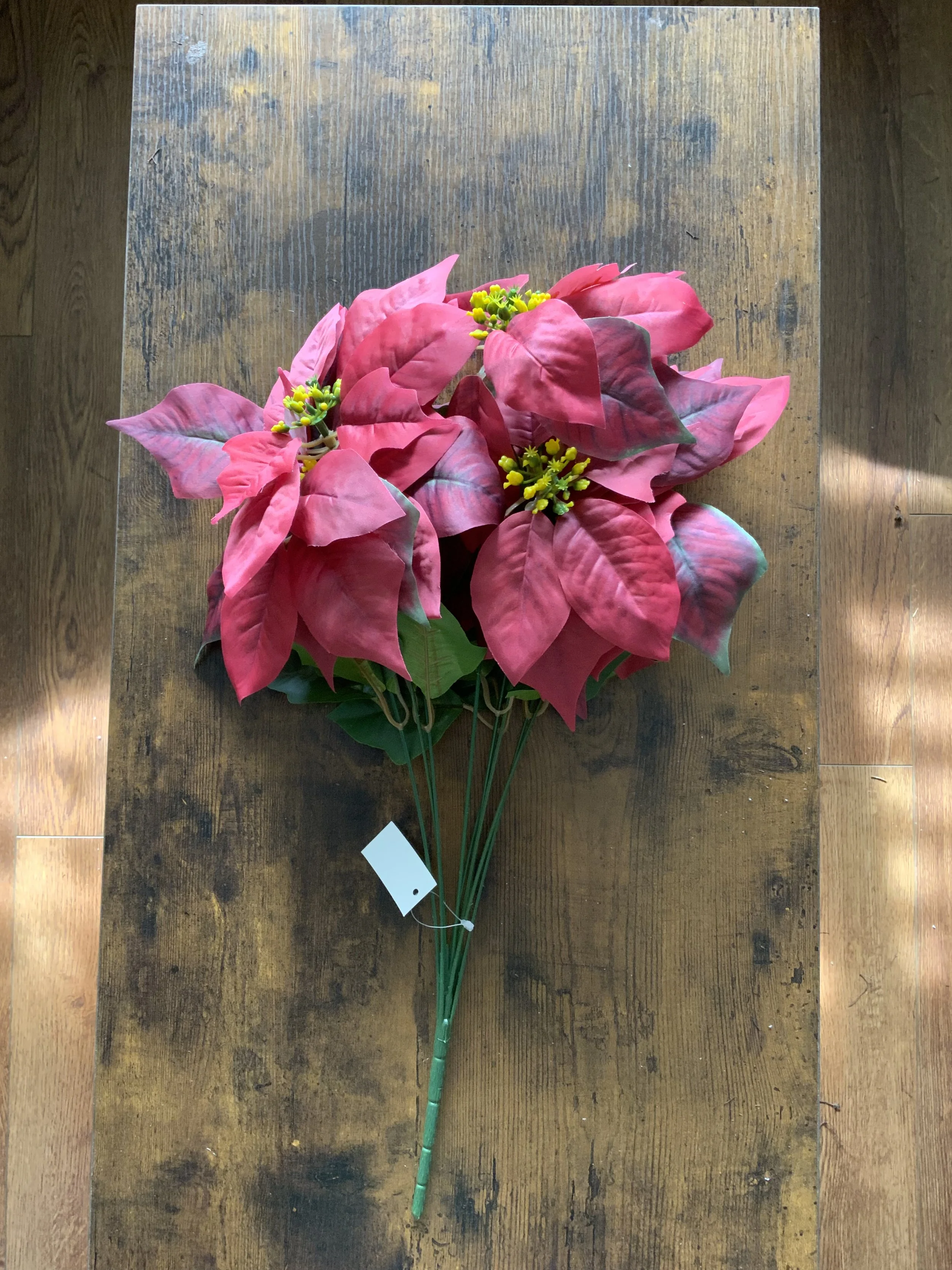 CS13400 CLASSIC POINSETTIA RD