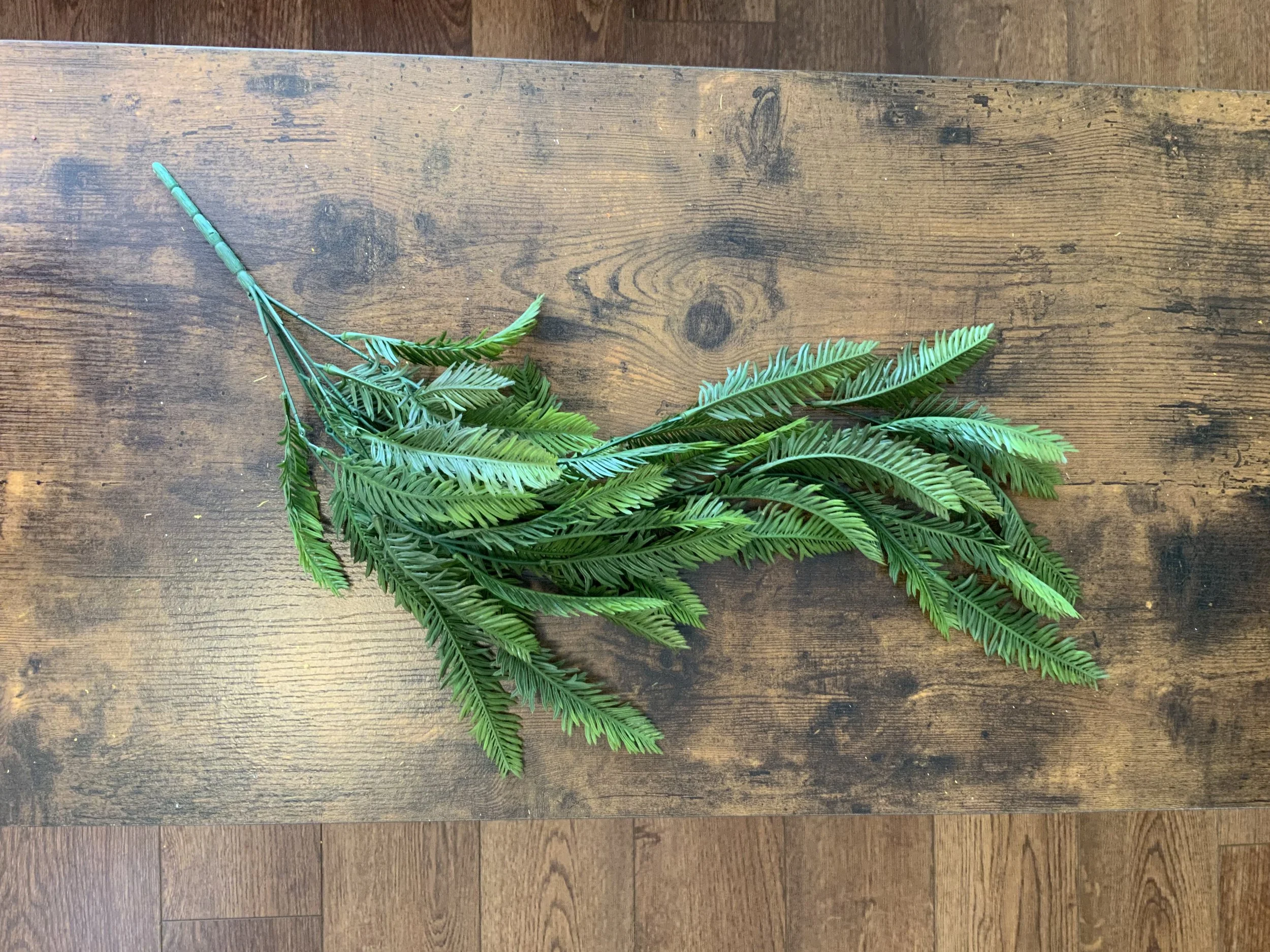 CS14674 HANGING FERN