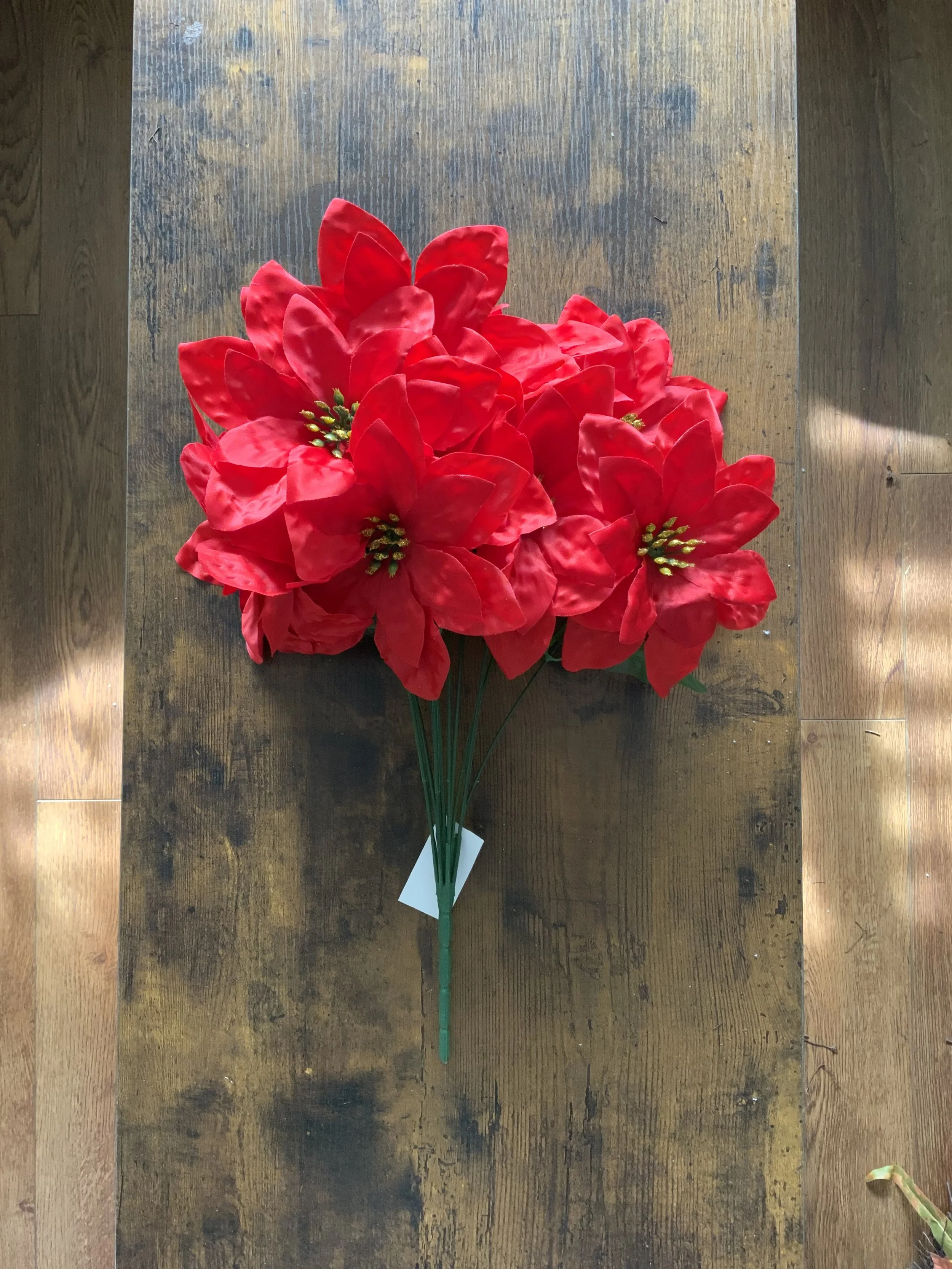 CS14077 DBL LAYERED POINSETTIA RD