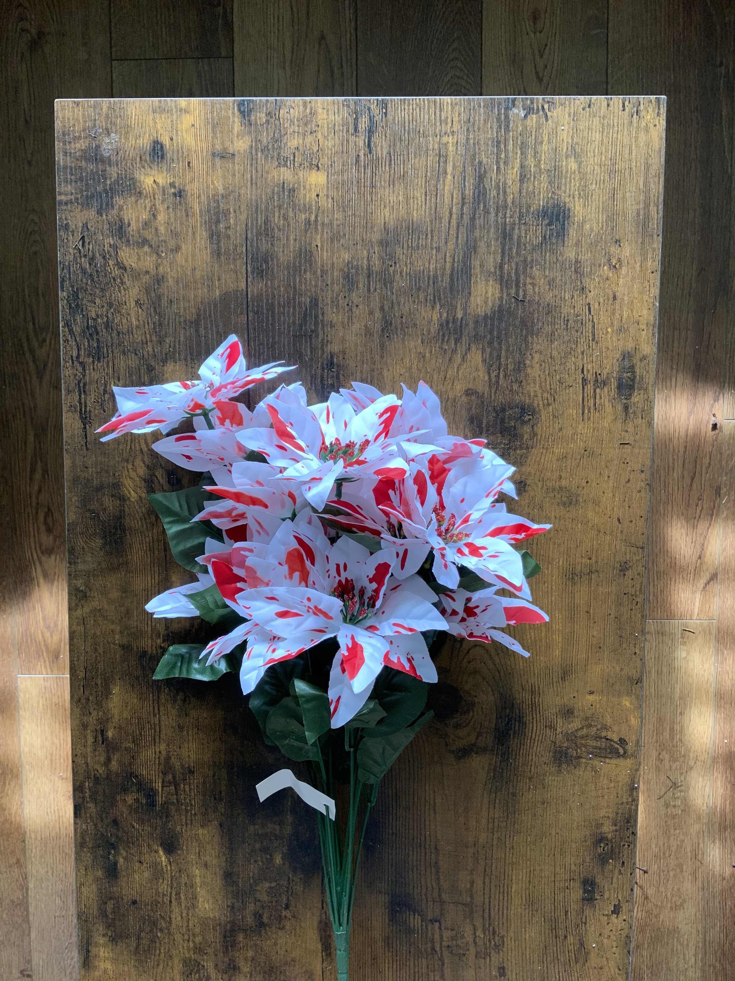 CS14073 PEPPERMINT POINSETTIA RDWHT