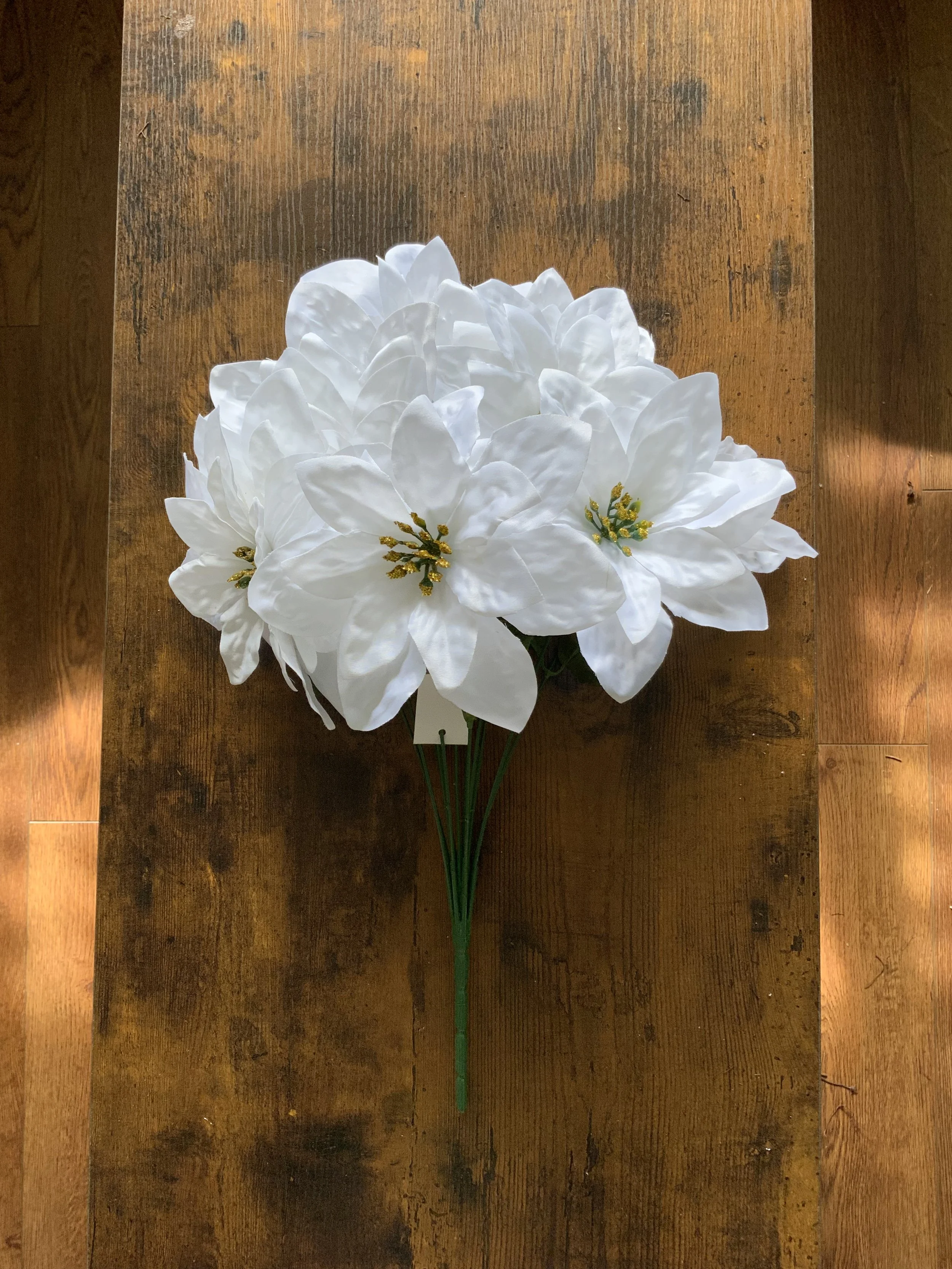 CS14077 DBL LAYERED POINSETTIA WHT