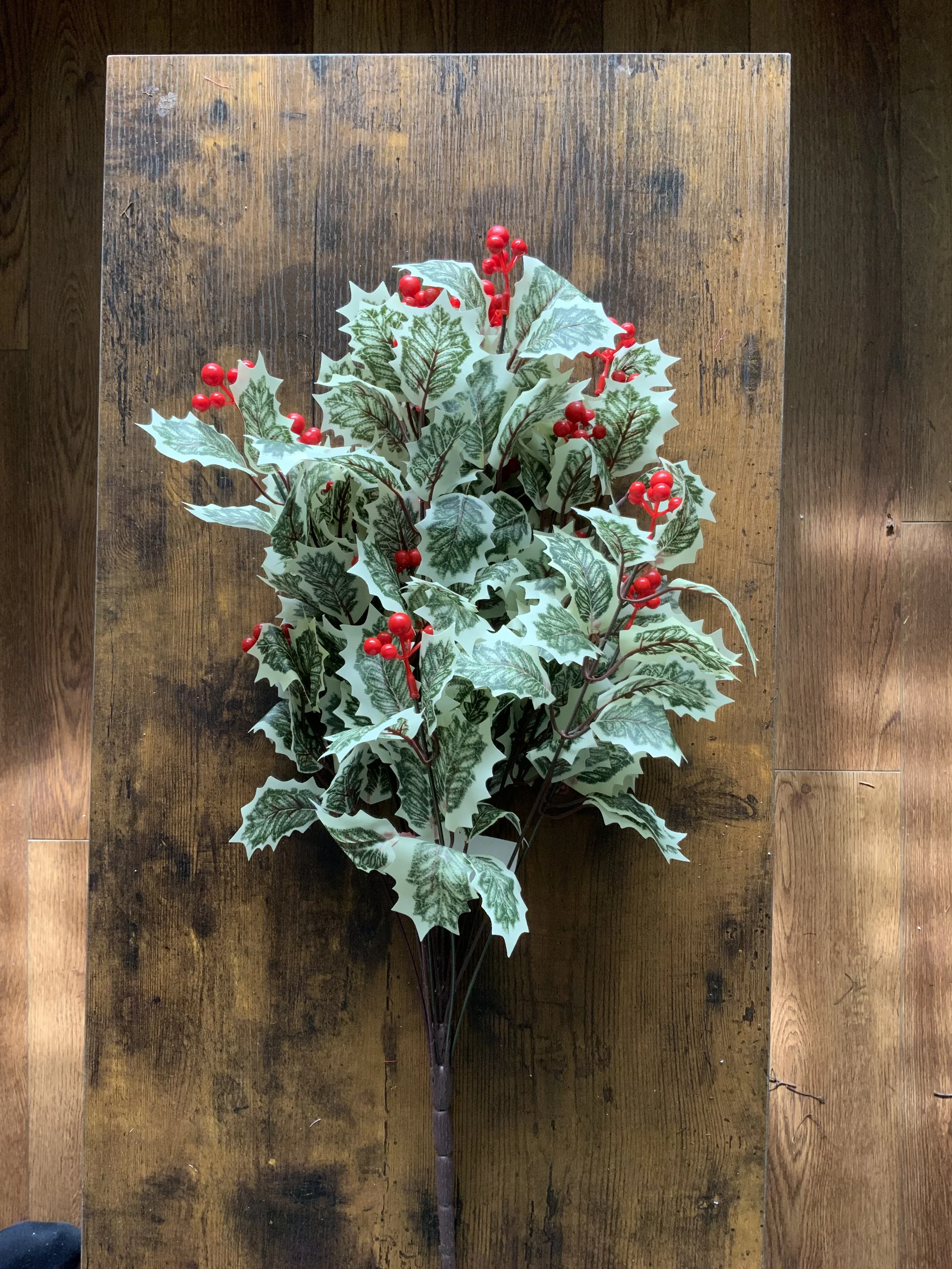 CS12427 VARIGATED HOLLY BUSH