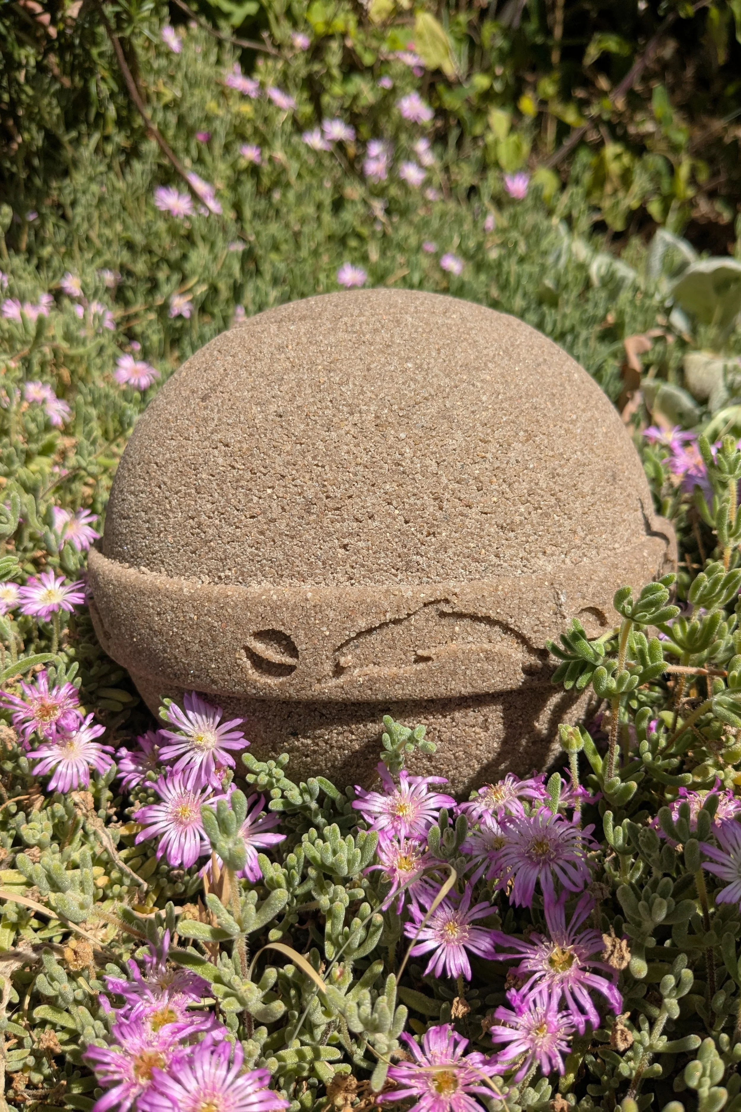 PXL_20251217_043341919.jpg (Copy)