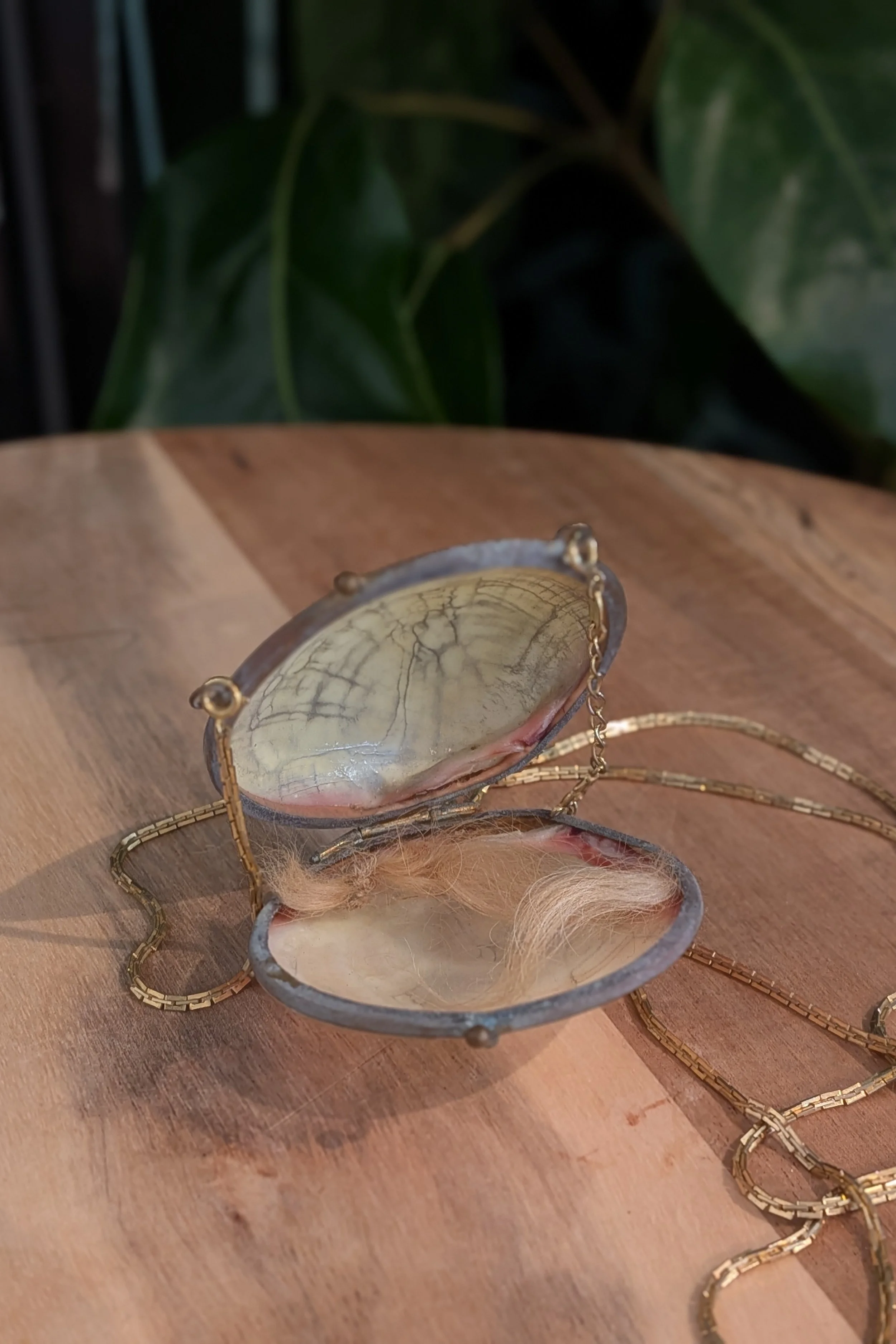 Seashell Hairloom Keepsake