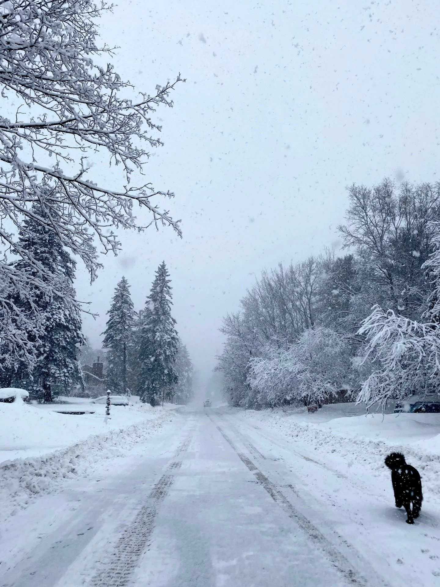 ❄️ Incoming Snowstorm &mdash; Stay Safe &amp; Prepared ❄️

Heavy snow is on the way. A little preparation can help keep your home safe and reduce the risk of winter-related damage.

🏠 For Your Home
&bull; Keep roofs, vents, and exhaust pipes clear o