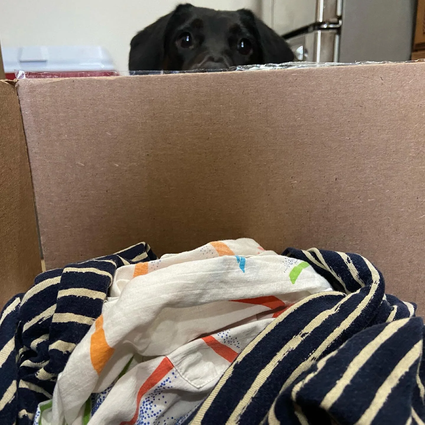 I moved to NYC almost 10 years ago with one suitcase &amp; a lot of uncertainty. I&rsquo;m leaving tomorrow with a dog, a fianc&eacute;, thirty something boxes, and so much gratitude for the friends I have made here. I&rsquo;m heading to my first ful