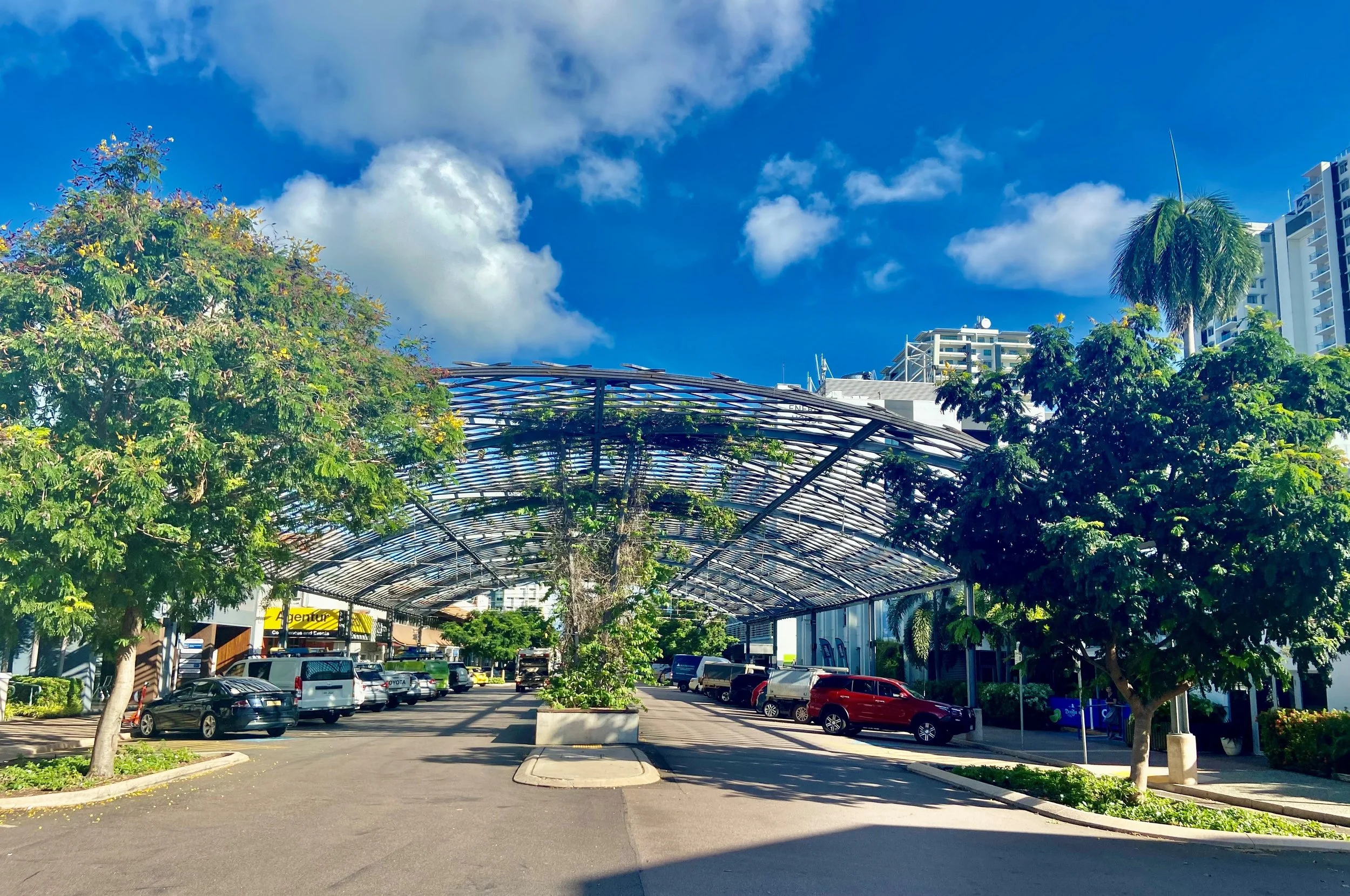 Cavenagh Shade Structure: Not so vine after all