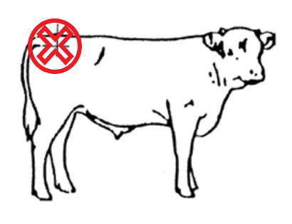 P8.2.png