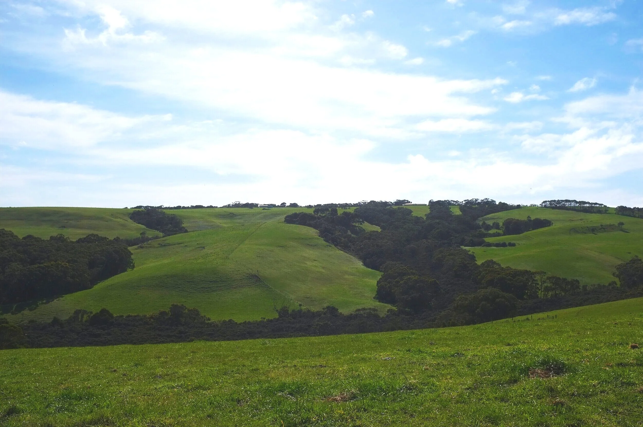 DSCF5310.JPG