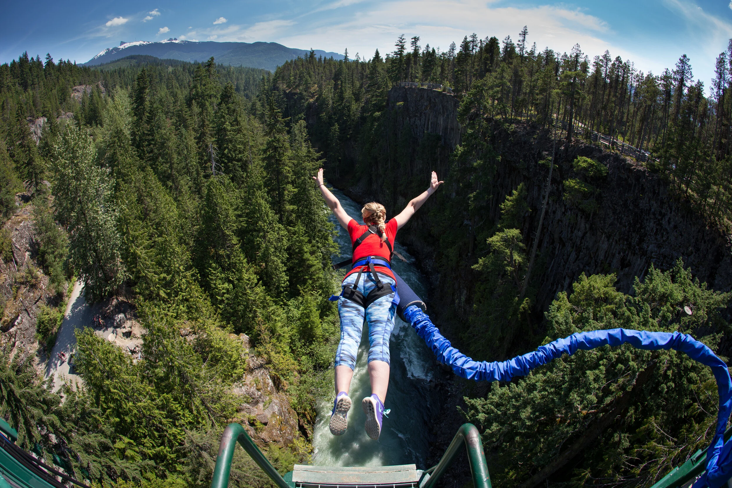 Whistler Bungee