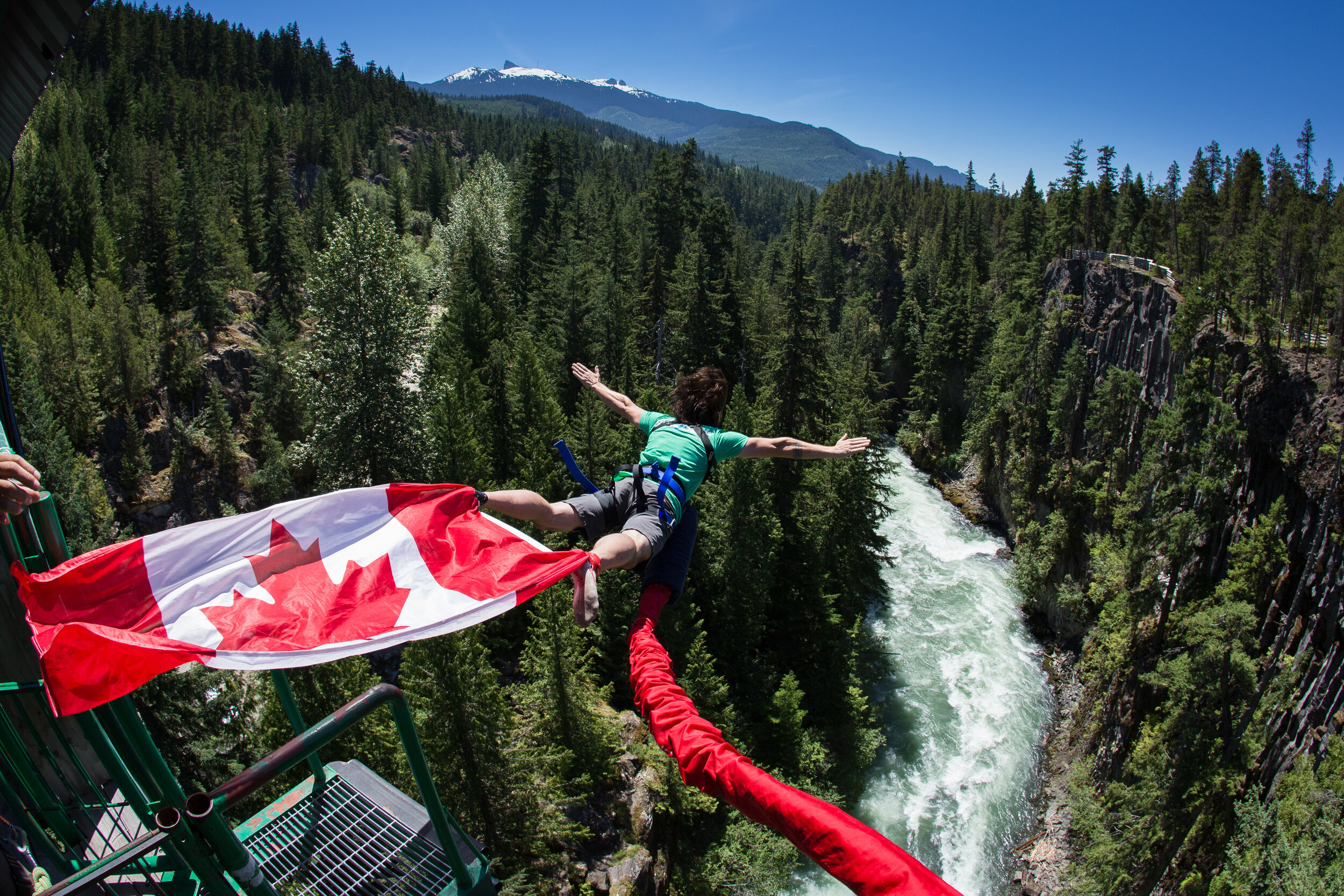 Whistler Bungee