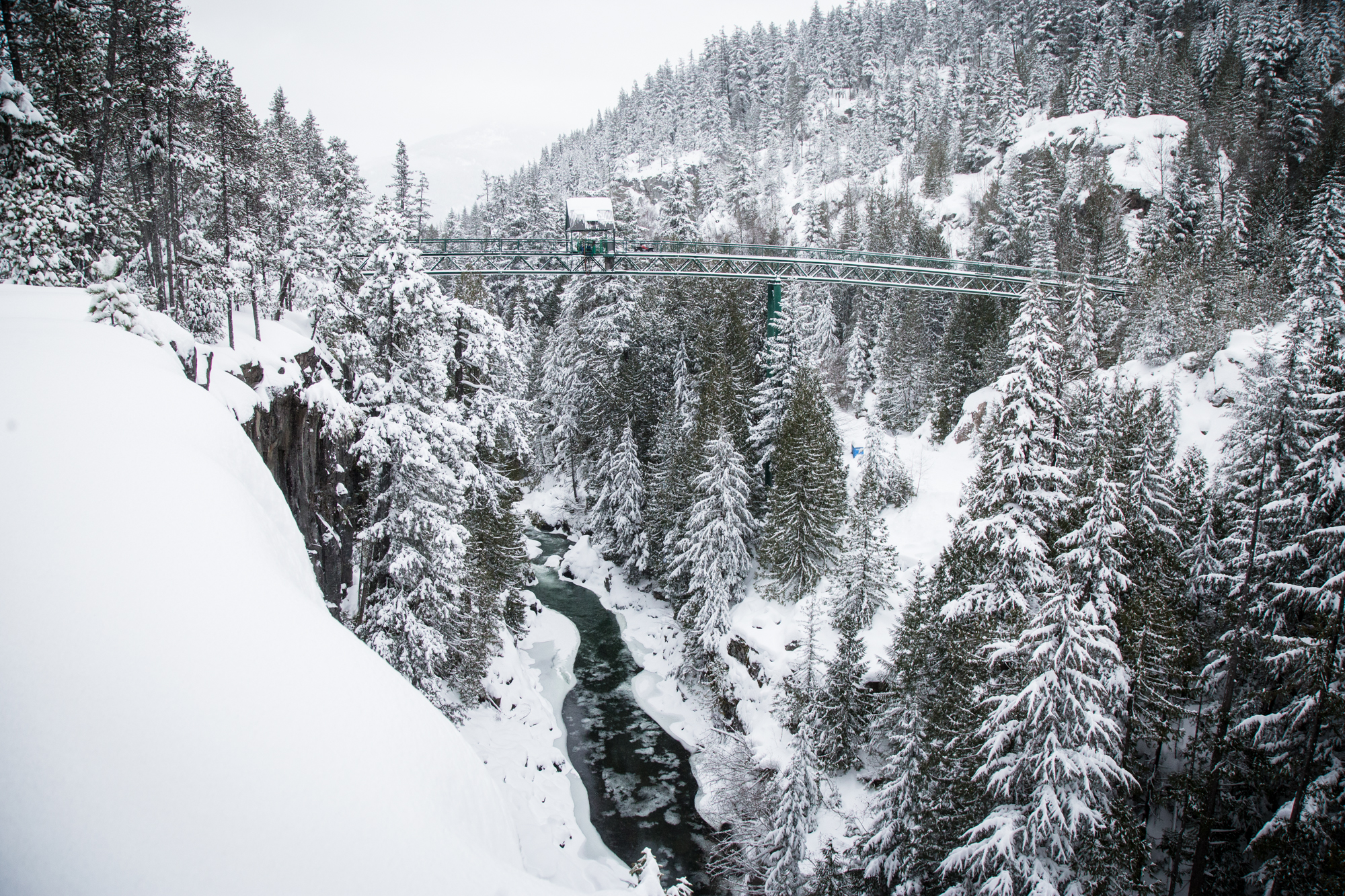 Whistler Bungee Photos12.JPG