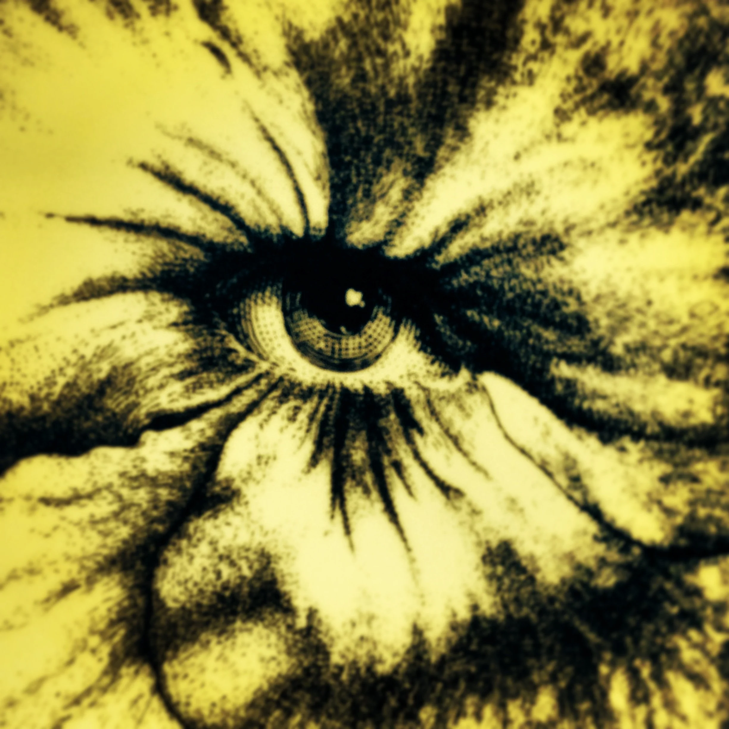 Film Directing 112: The Director's Frame