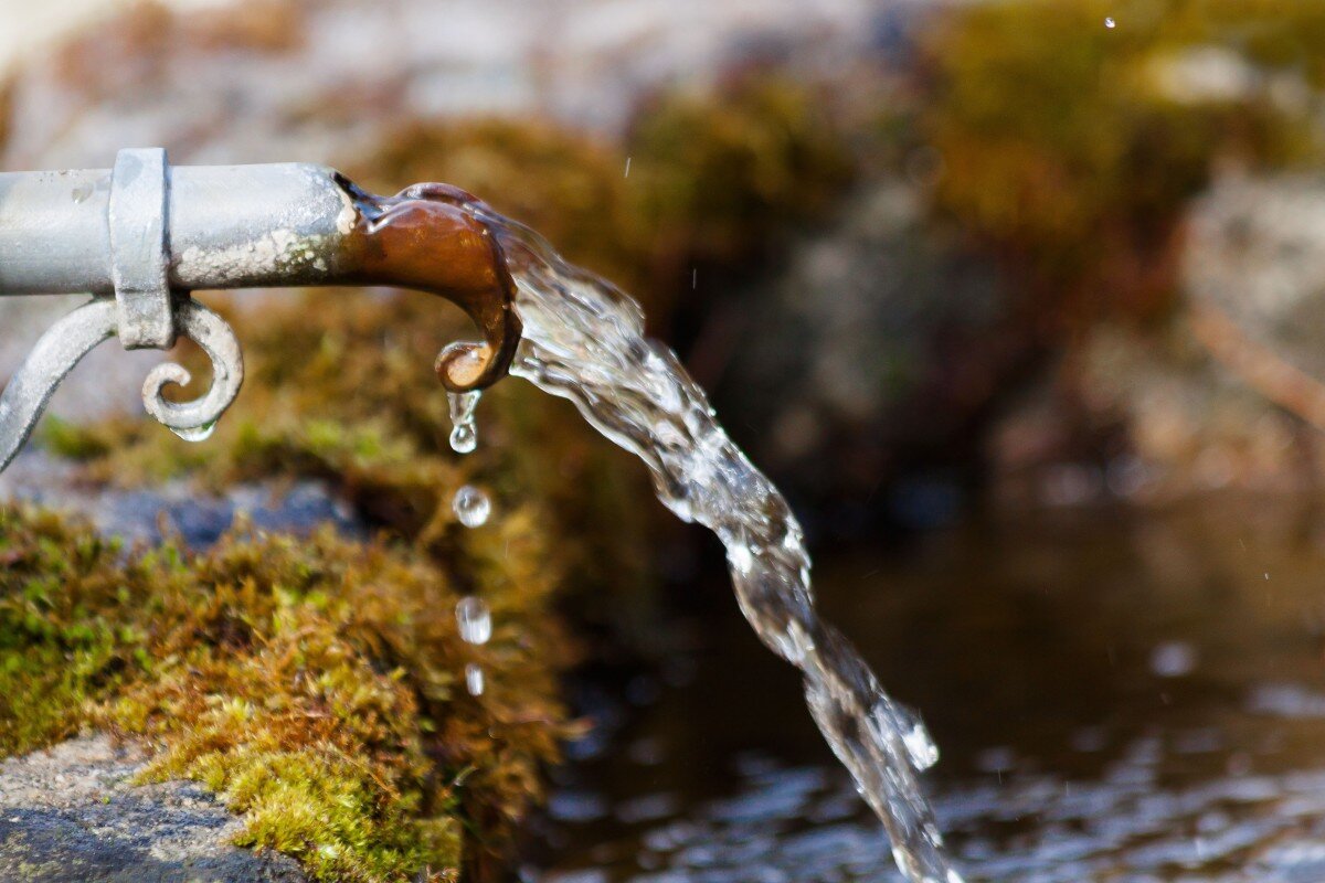week4_water.jpeg