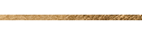 horziontal_gold_sm.png