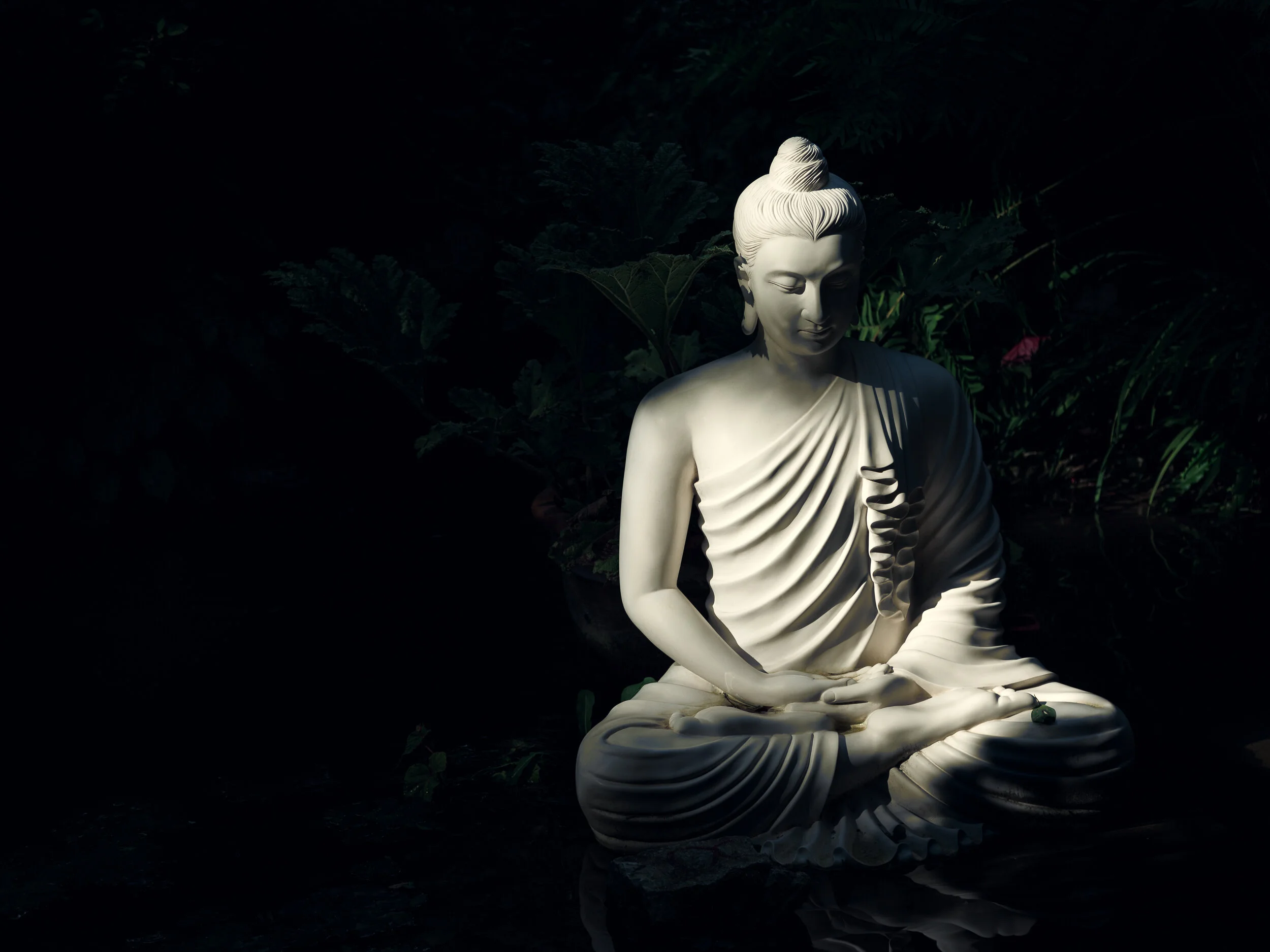 Cultivating Compersion: Lessons from Buddhist Practice