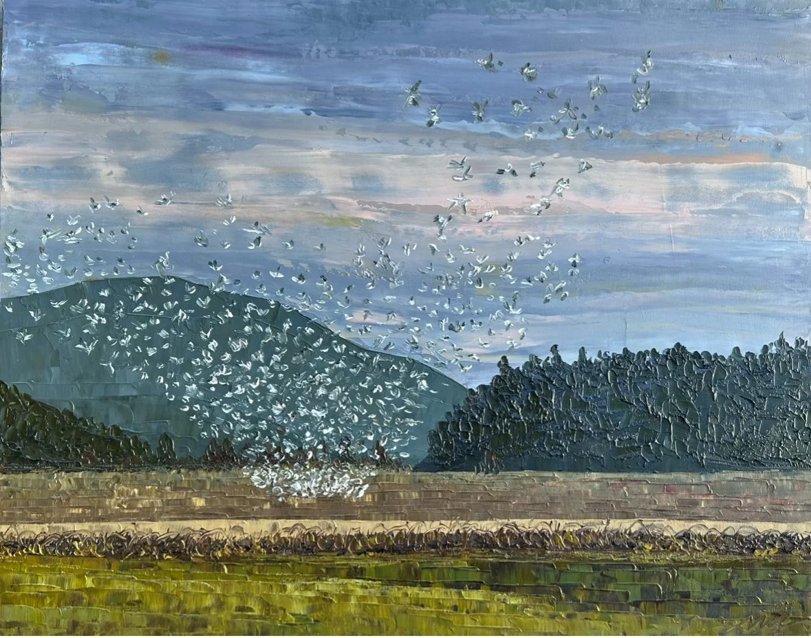 Taking Flight, Oil on Panel, 16 x 20, 2024