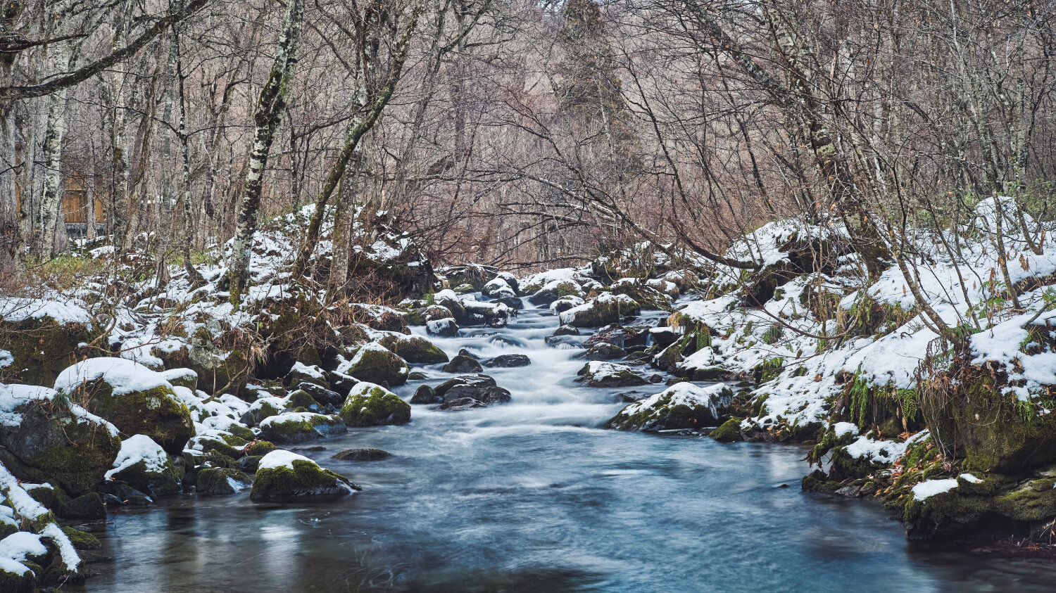 Nature 自然 風景映像 Yusheng Hsu Photography