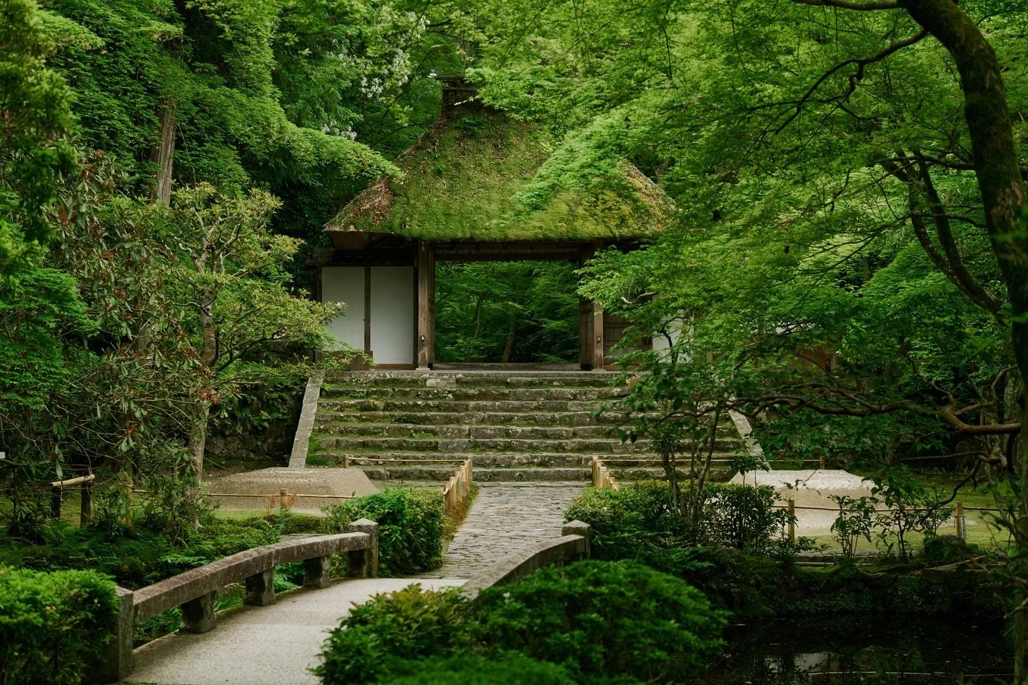 法然院（ほうねんいん）
苔の香り、茅葺の門、風に揺れる葉音。
時間がゆっくりと流れているような、やさしい場所。

A gentle place, hidden in Kyoto&rsquo;s green.
The quiet feels almost like a memory.

─────
📍 京都・法然院
📷 Leica SL2 &times; LUMIX S 70-200/F4

.
.
.
#法然院 #京都の風景 #苔庭 #静かな時間 #古寺巡礼 
#Honenin #Kyoto