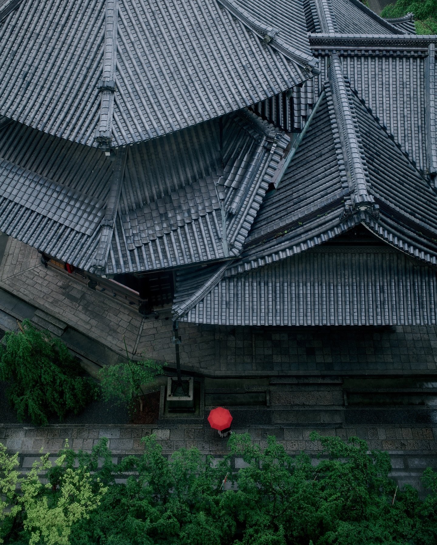 静寂のなかに、
赤い傘だけが時間を歩いていた。

＿＿＿＿＿＿＿＿＿＿＿＿＿＿＿＿＿＿
🗺️Location : 頂法寺
🧚Model: @fairy15y

Photography by @yusheng_hsu
■Camera
　Leica SL2
■Lens
　Summilux-M 35/1.4A