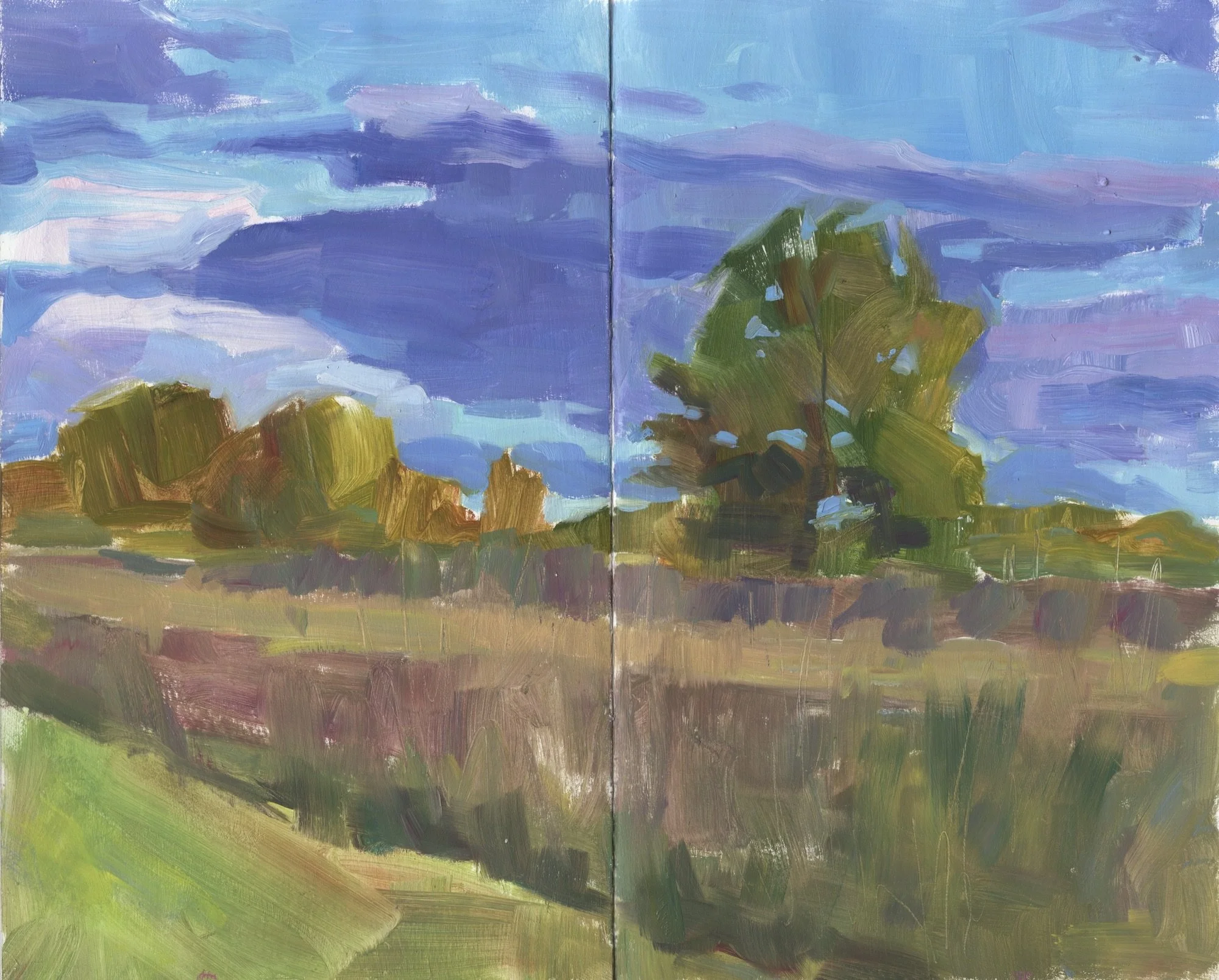 MaryClareMontgomery-work38.jpeg