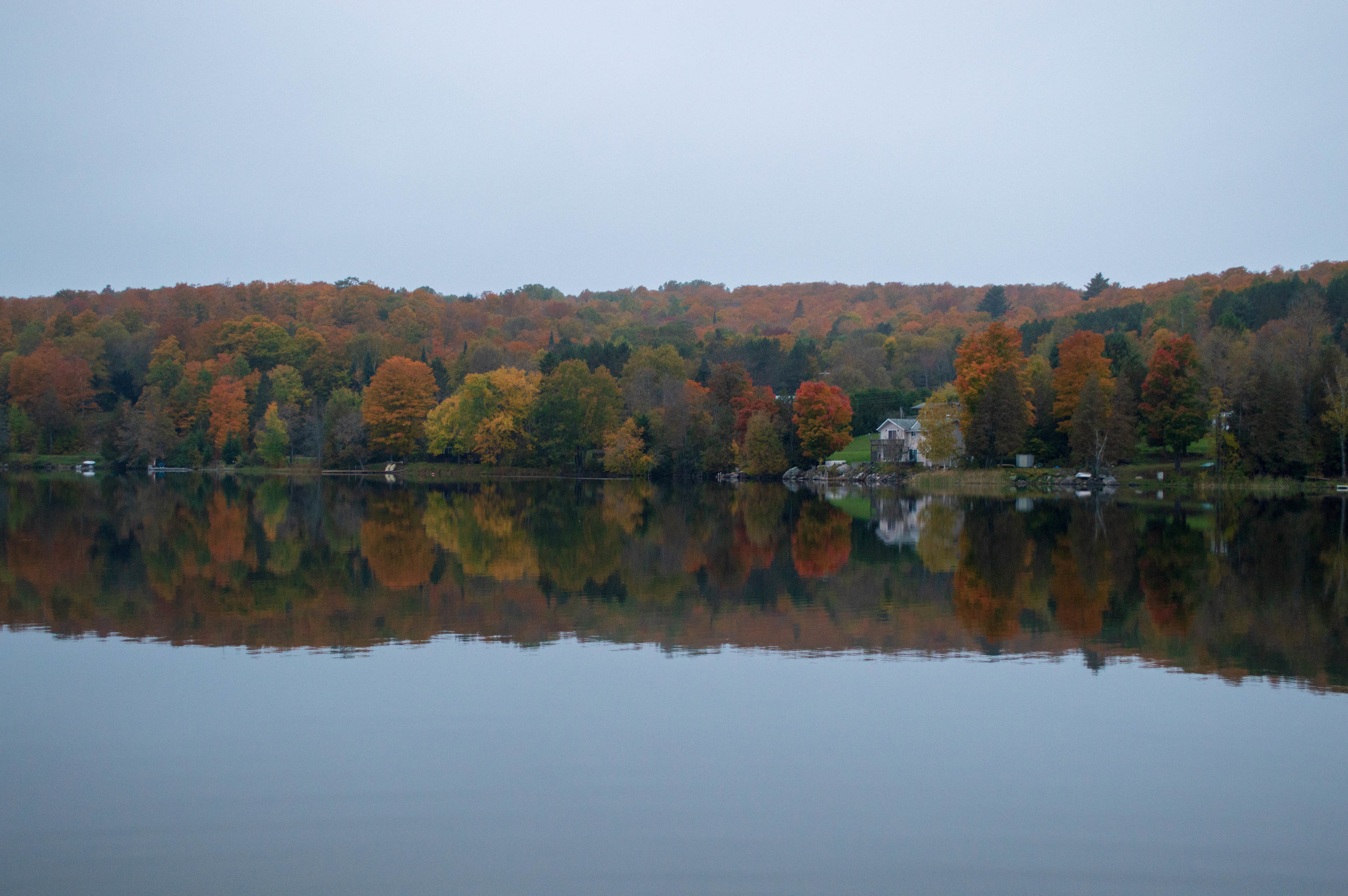 Pine-Lake.jpg
