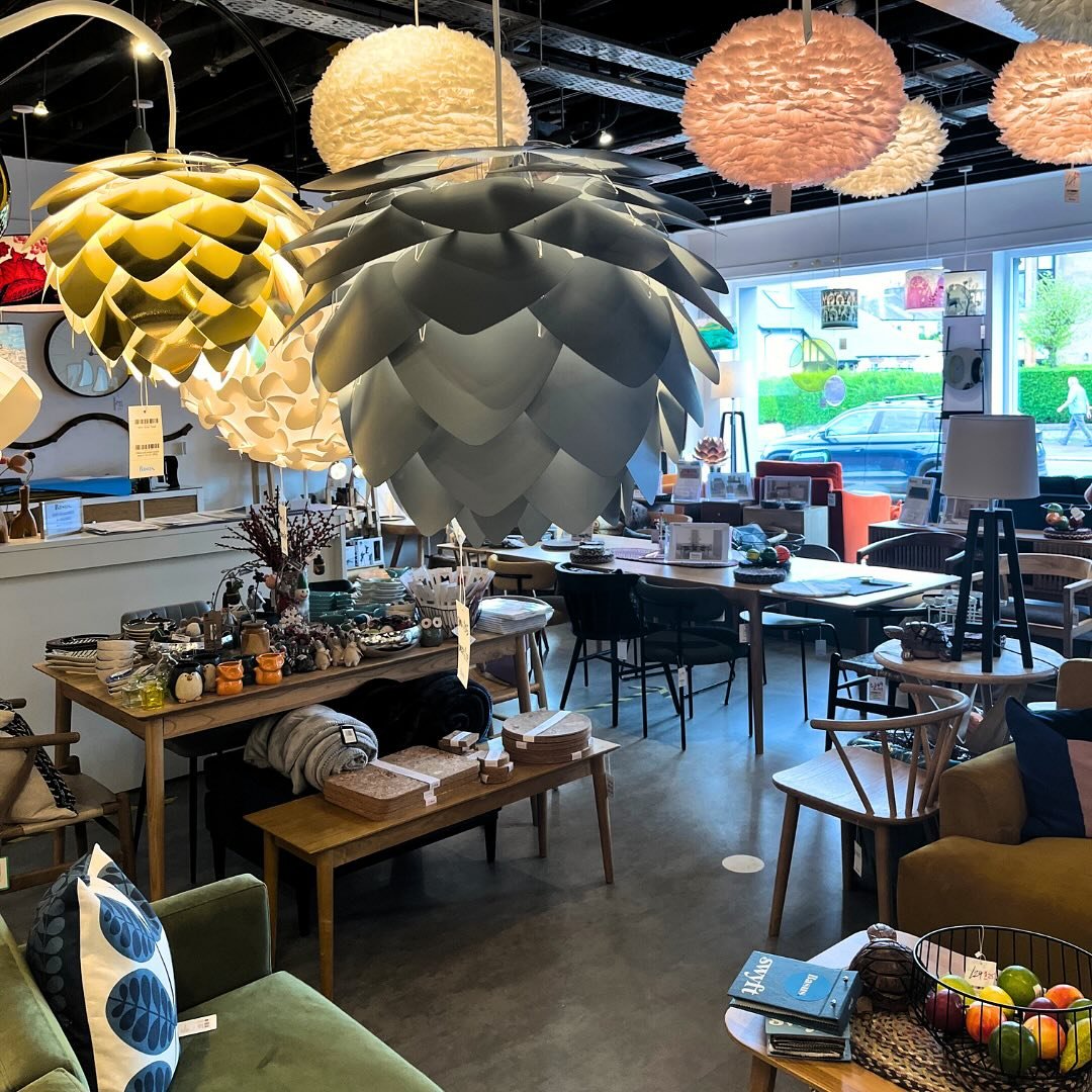 Did you know we have a wide range of lighting available in store? From elegant pendants to bold statement pieces, find the perfect solution to light up your space! 💡