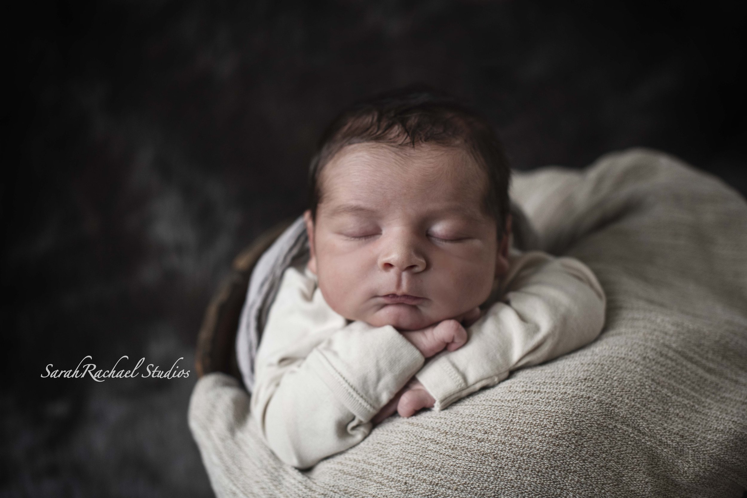  maryland newborn photographer 