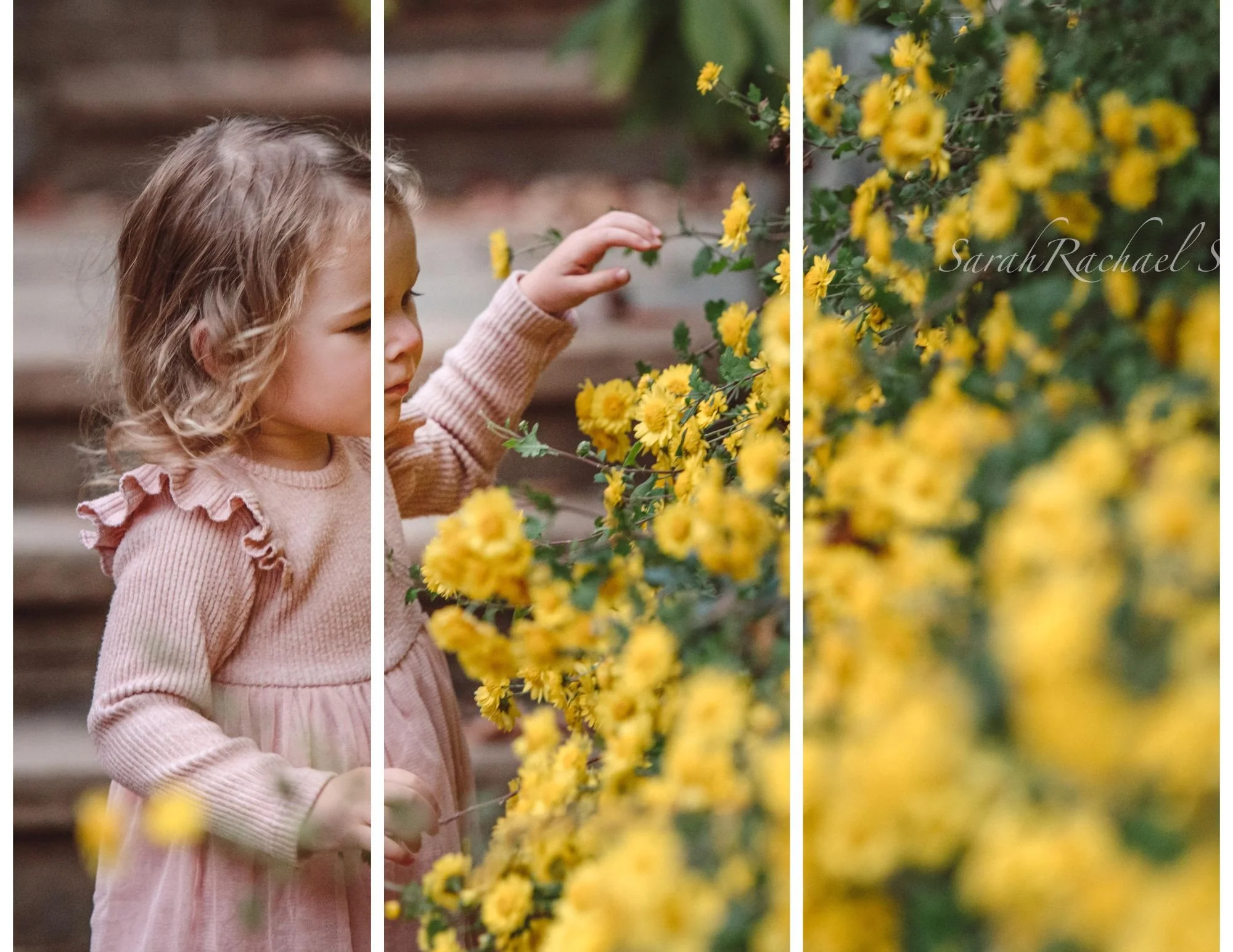 Baby photographer