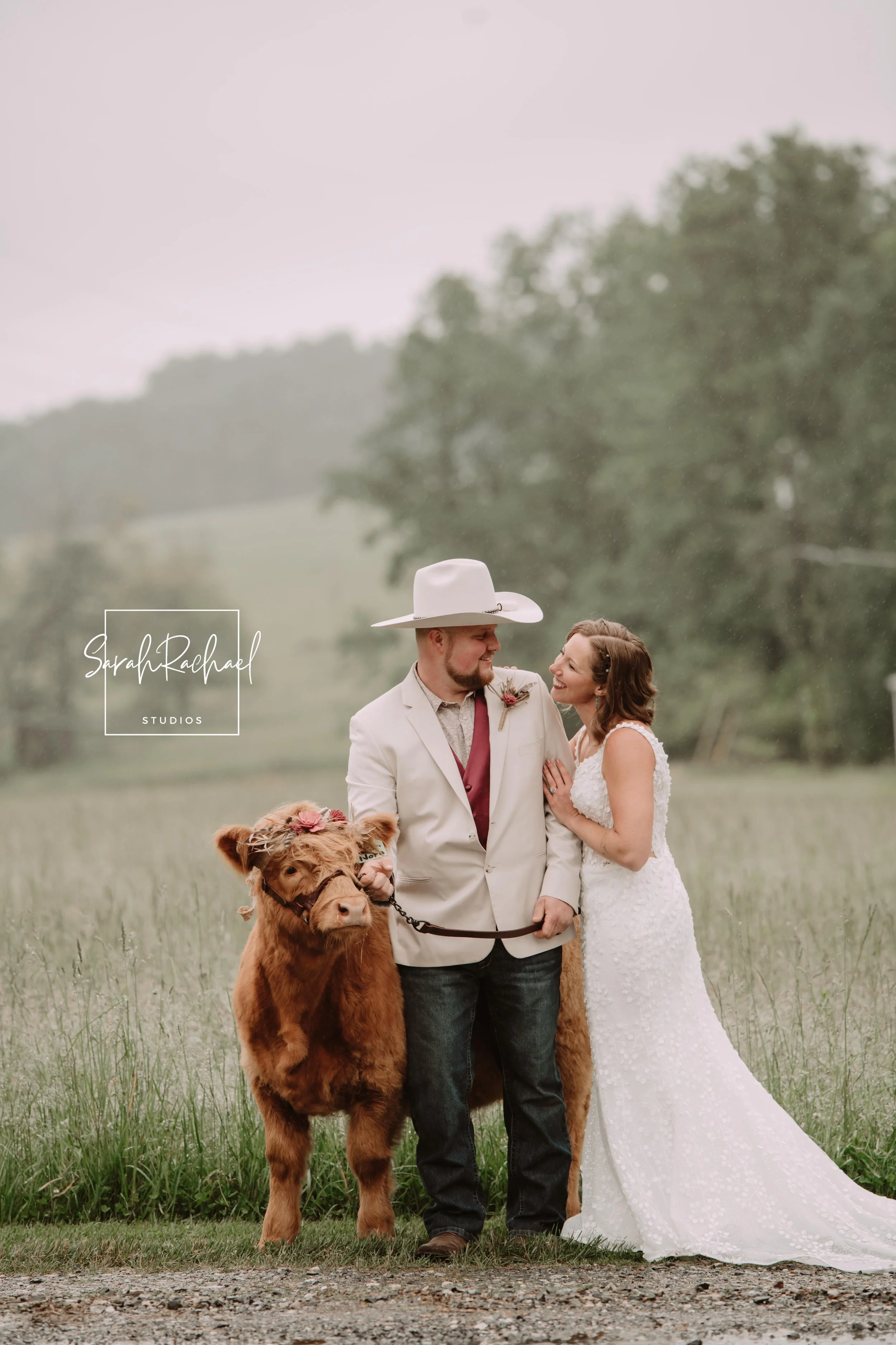 A Black Rock Farms Wedding with Highland Cows | Maryland Wedding Photographer