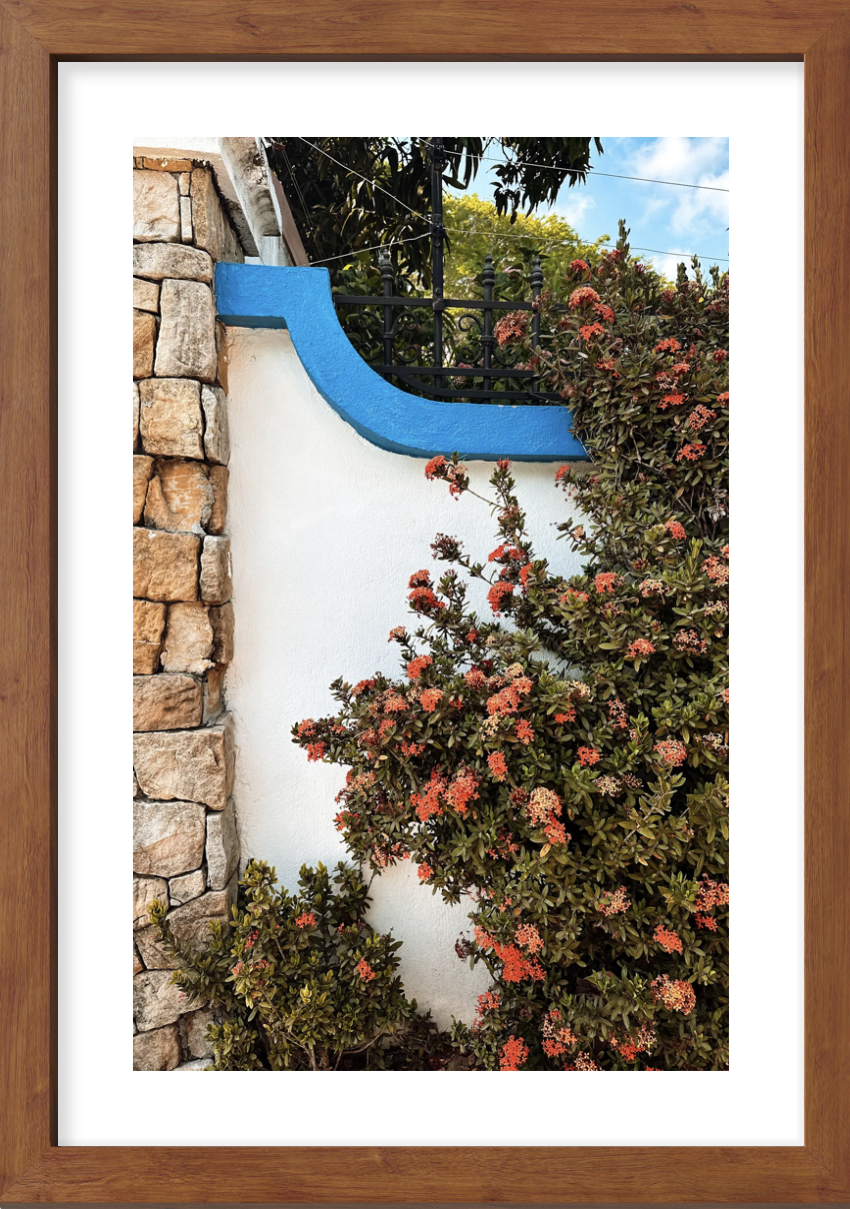 Azure Ember | Costa Rica | The Wild & Warm Collected Series