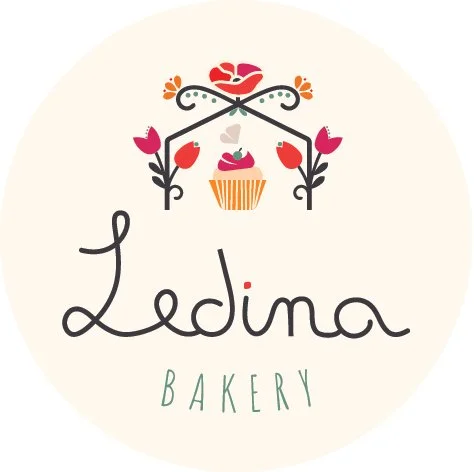 Ledina_Logo-01.jpg