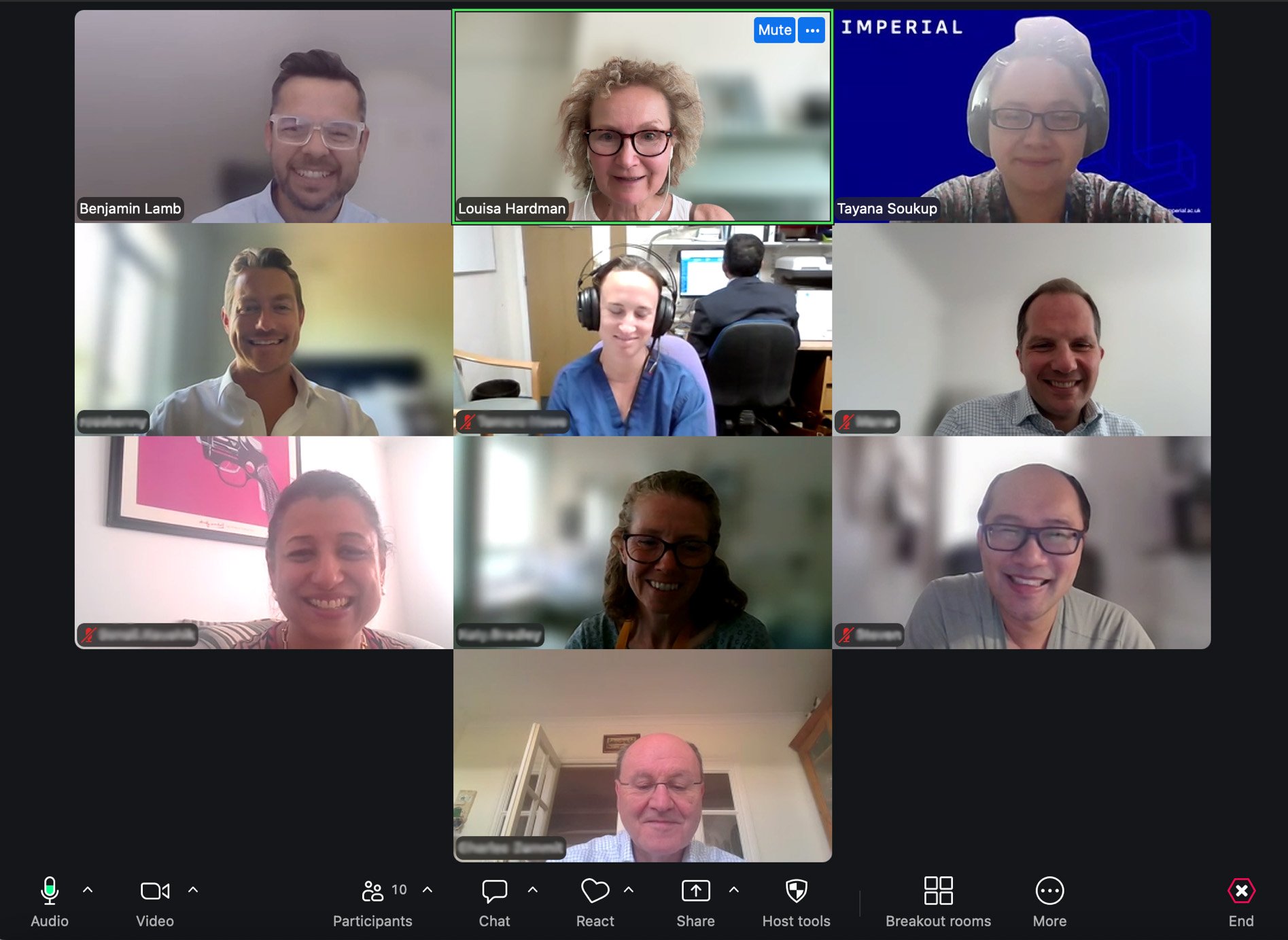 Screenshot of an online MDT development session on a video call, showing ten participants in a gallery view. Everyone is smiling or looking engaged, and most are in home or office settings.