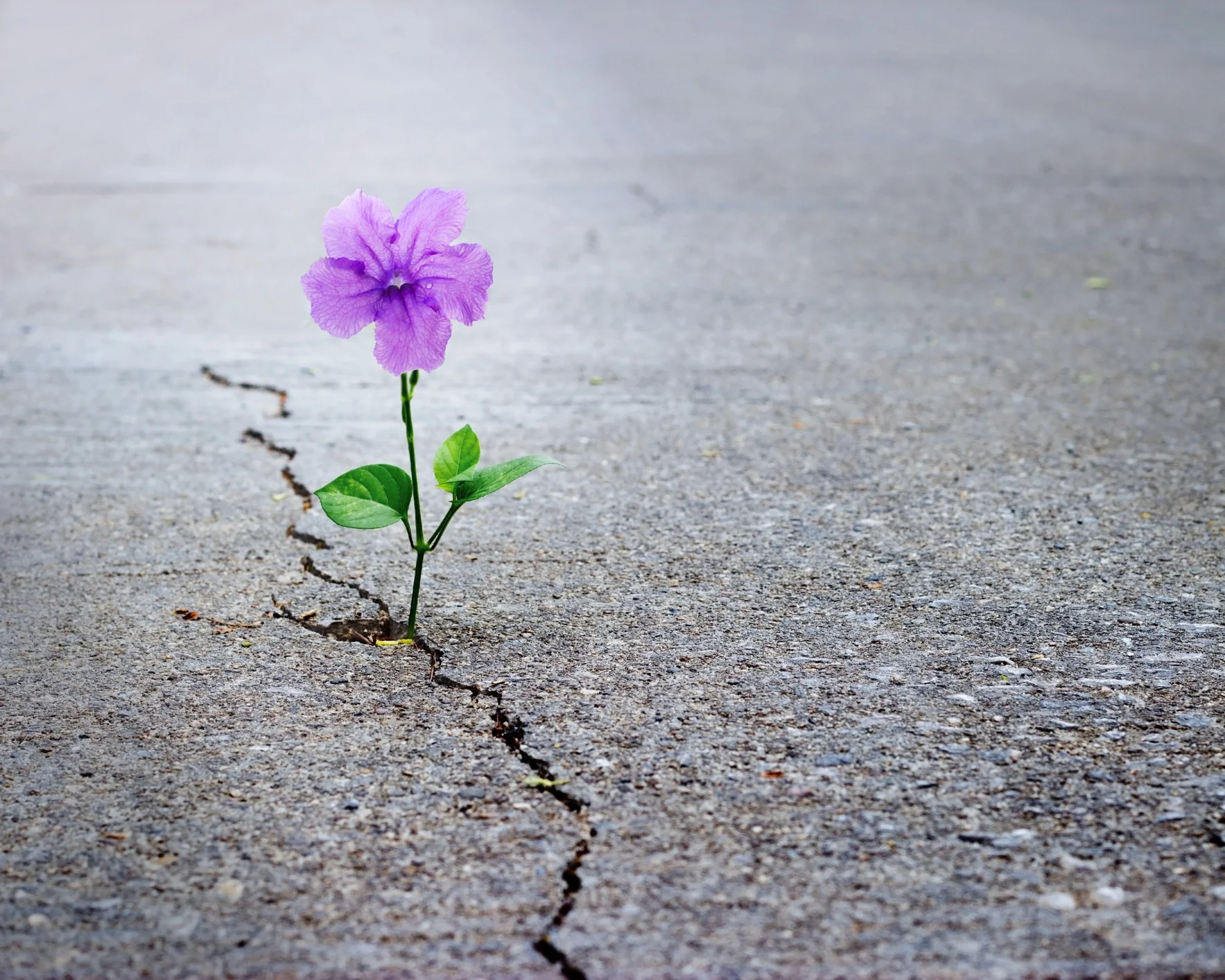 iStock-896570168.jpg
