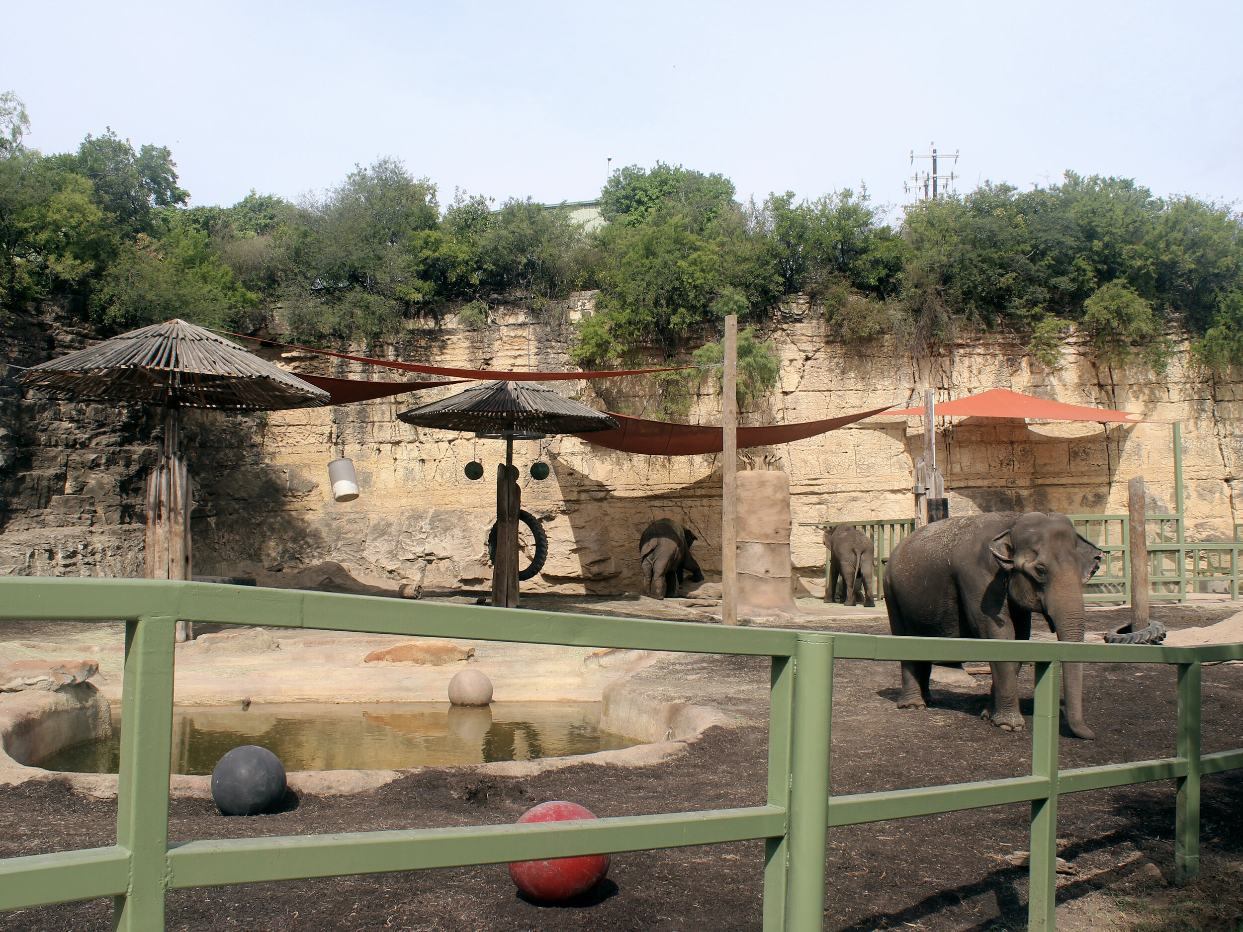  ELEPHANT EXHIBIT 