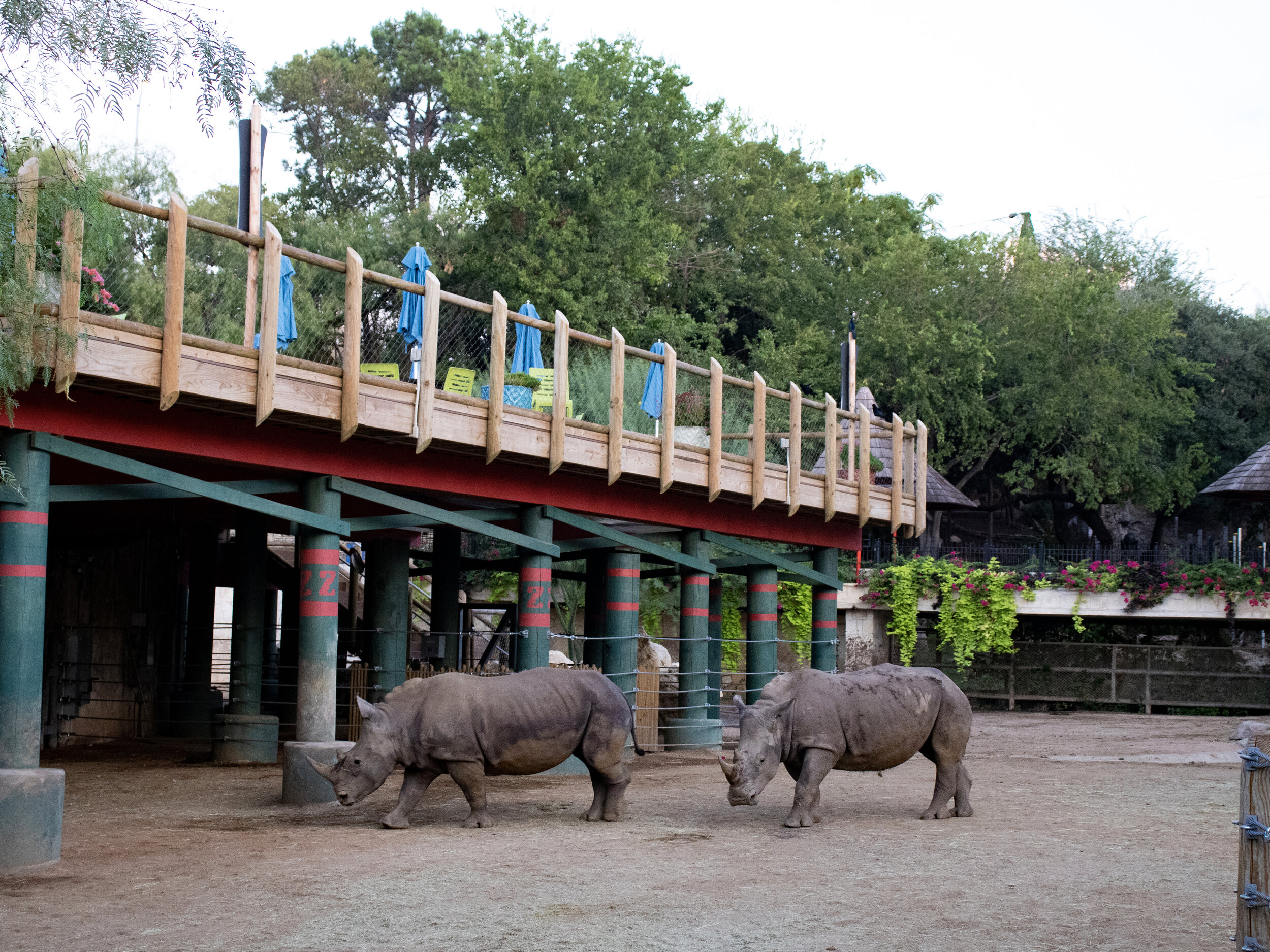SA Zoo - 3.jpg