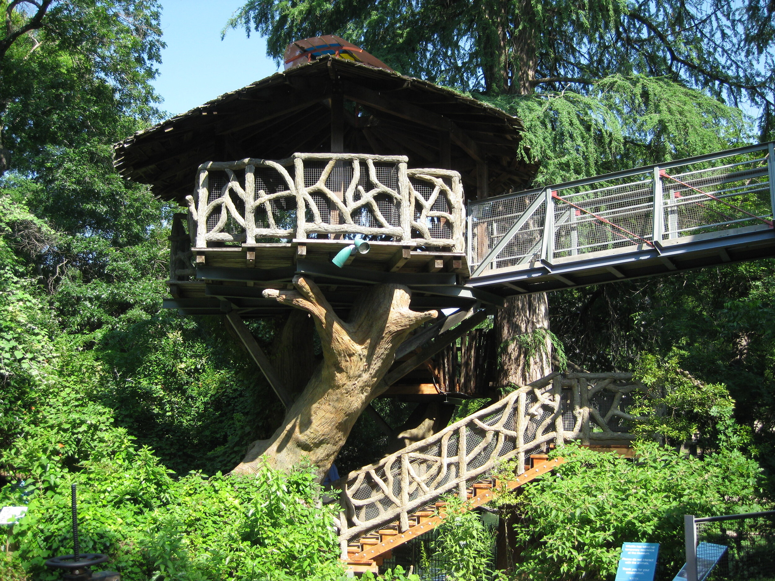 Witte Treehouse stairs4.jpg