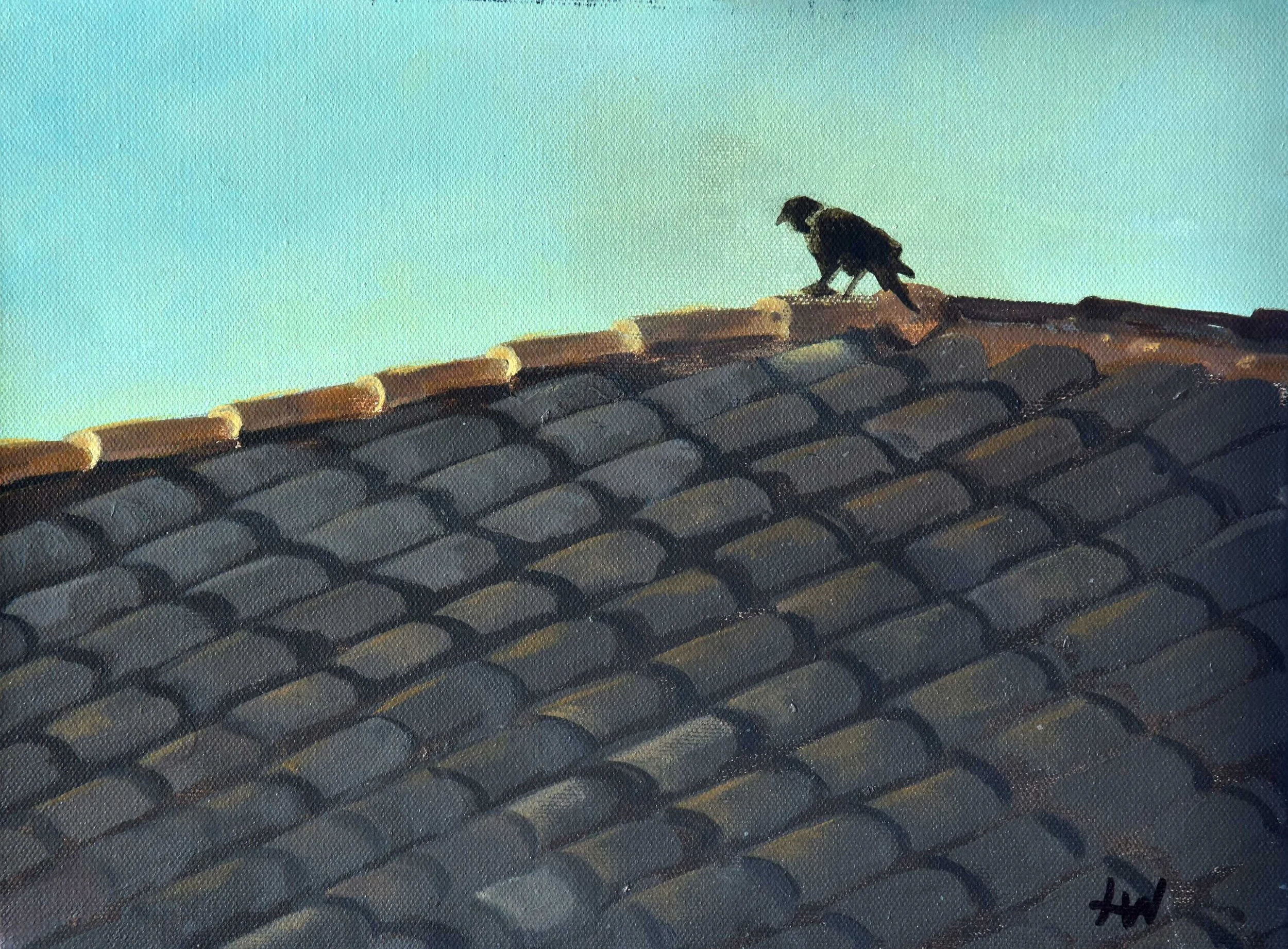 Lookout