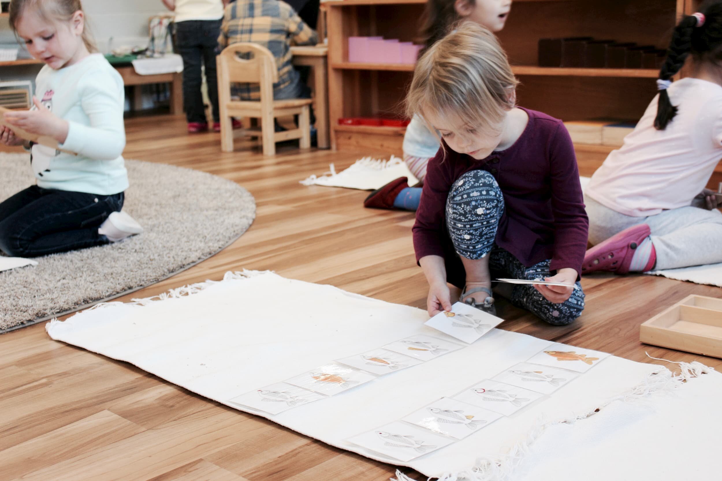 child-with-fish-cards-in-class.jpg