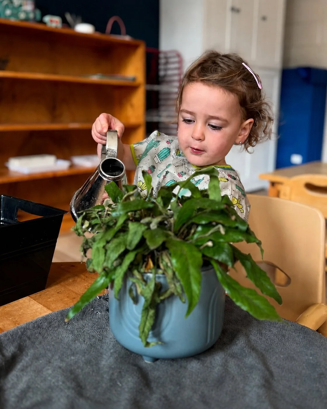 01-watering-plant.jpg