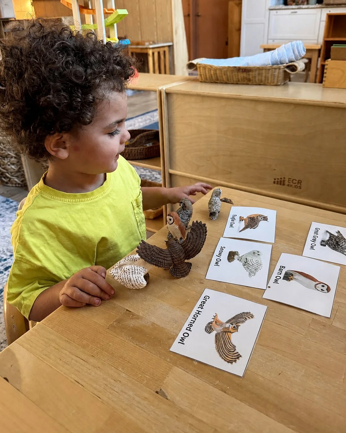 13-animal-card-matching.jpg