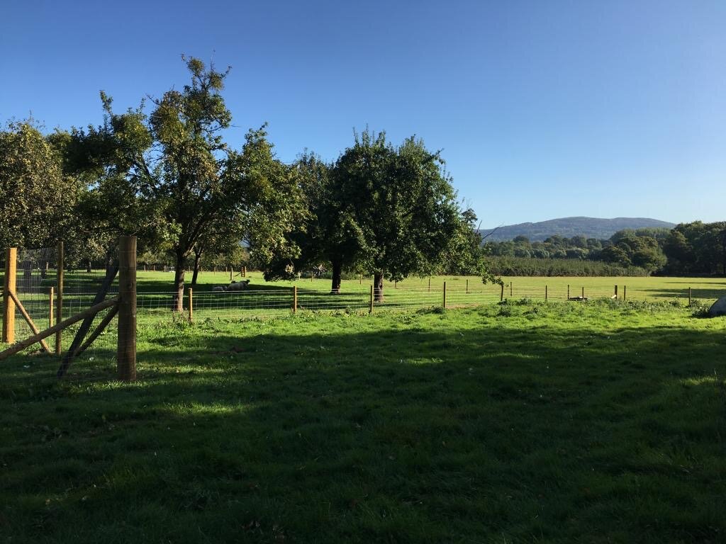 c529d3bd-d3be-4cd7-94f8-c087a05d01bf 2.JPG