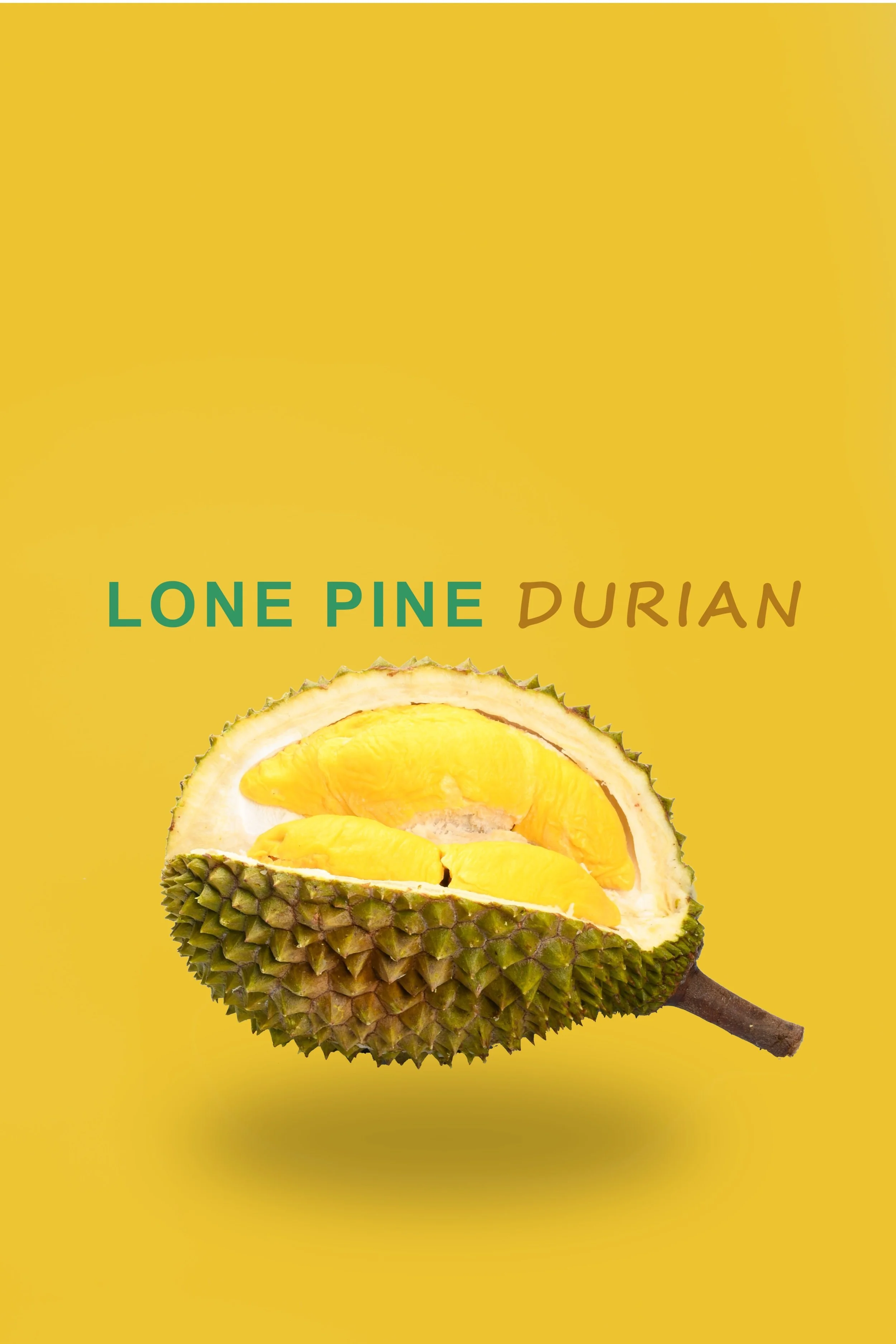 LPDurian+Yellow+background+durian2+%28compress%29.jpg
